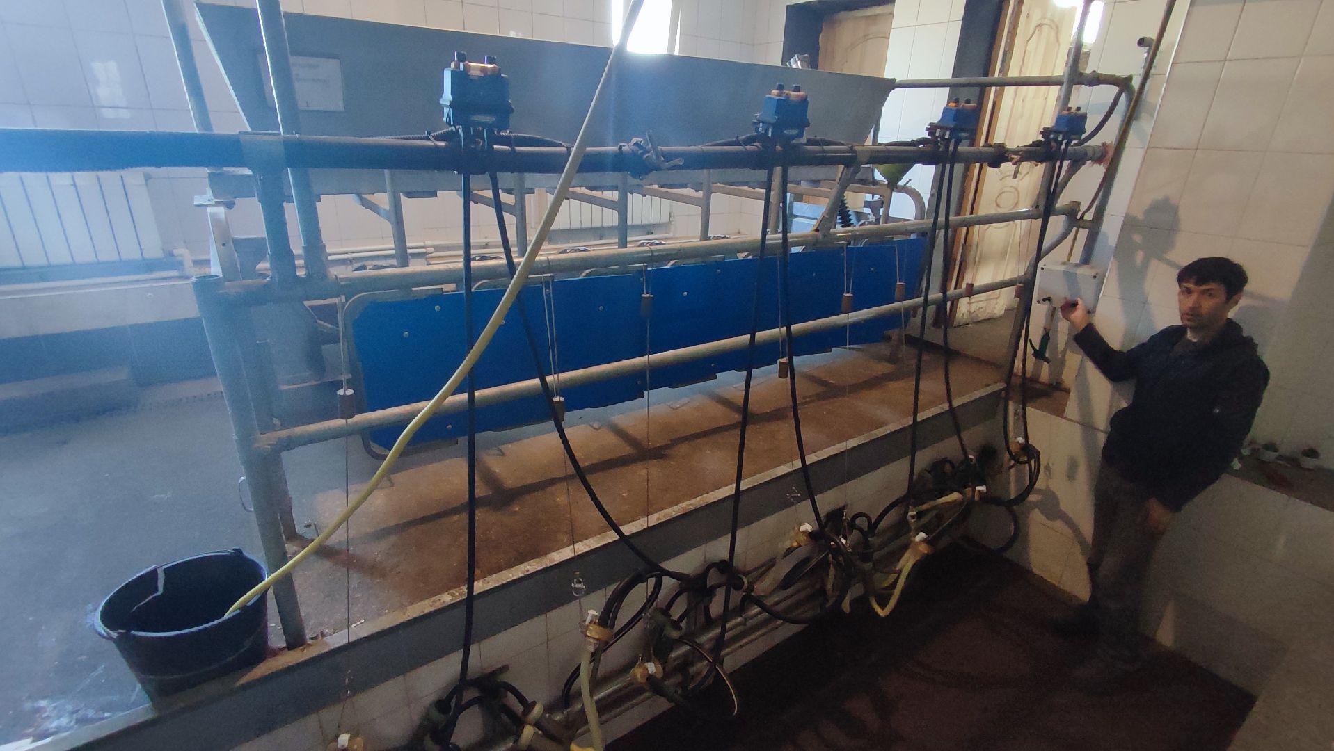 Кашира, экоферма, Знаменское, козы, сельское хозяйство, молоко, сыр