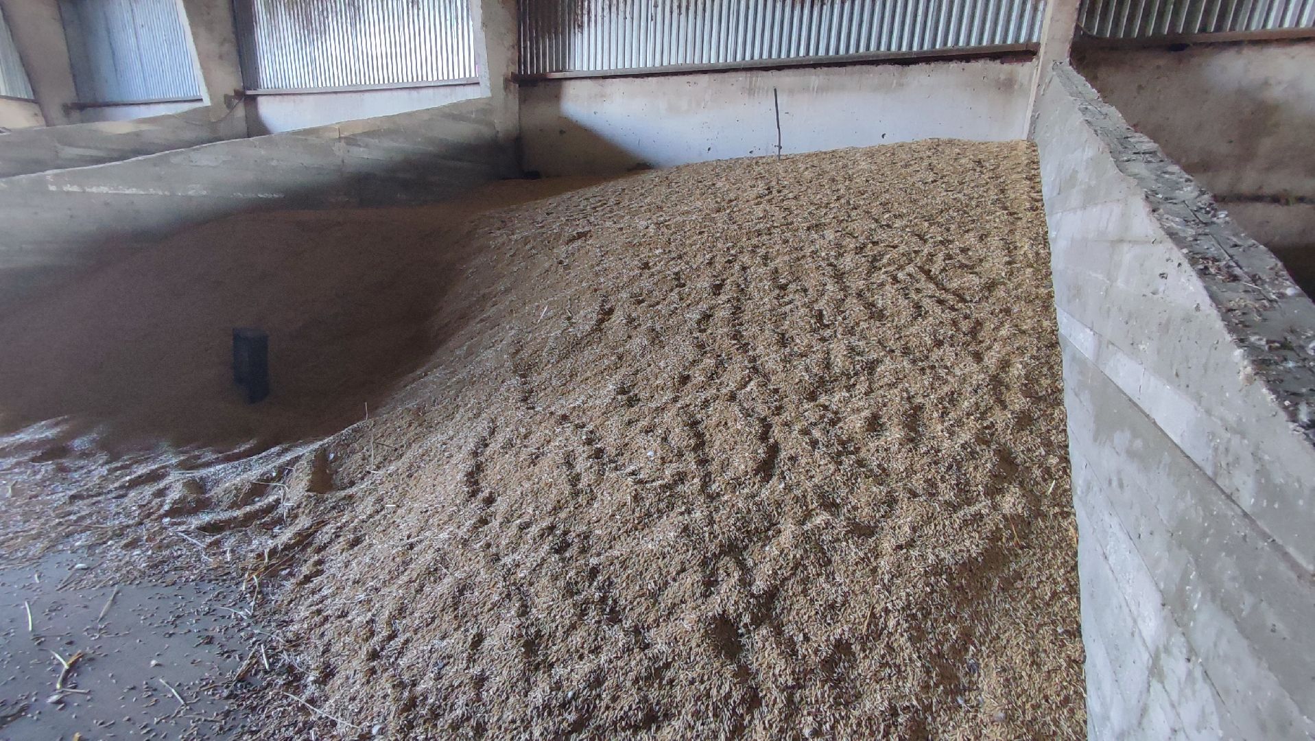 Кашира, экоферма, Знаменское, козы, сельское хозяйство, молоко, сыр