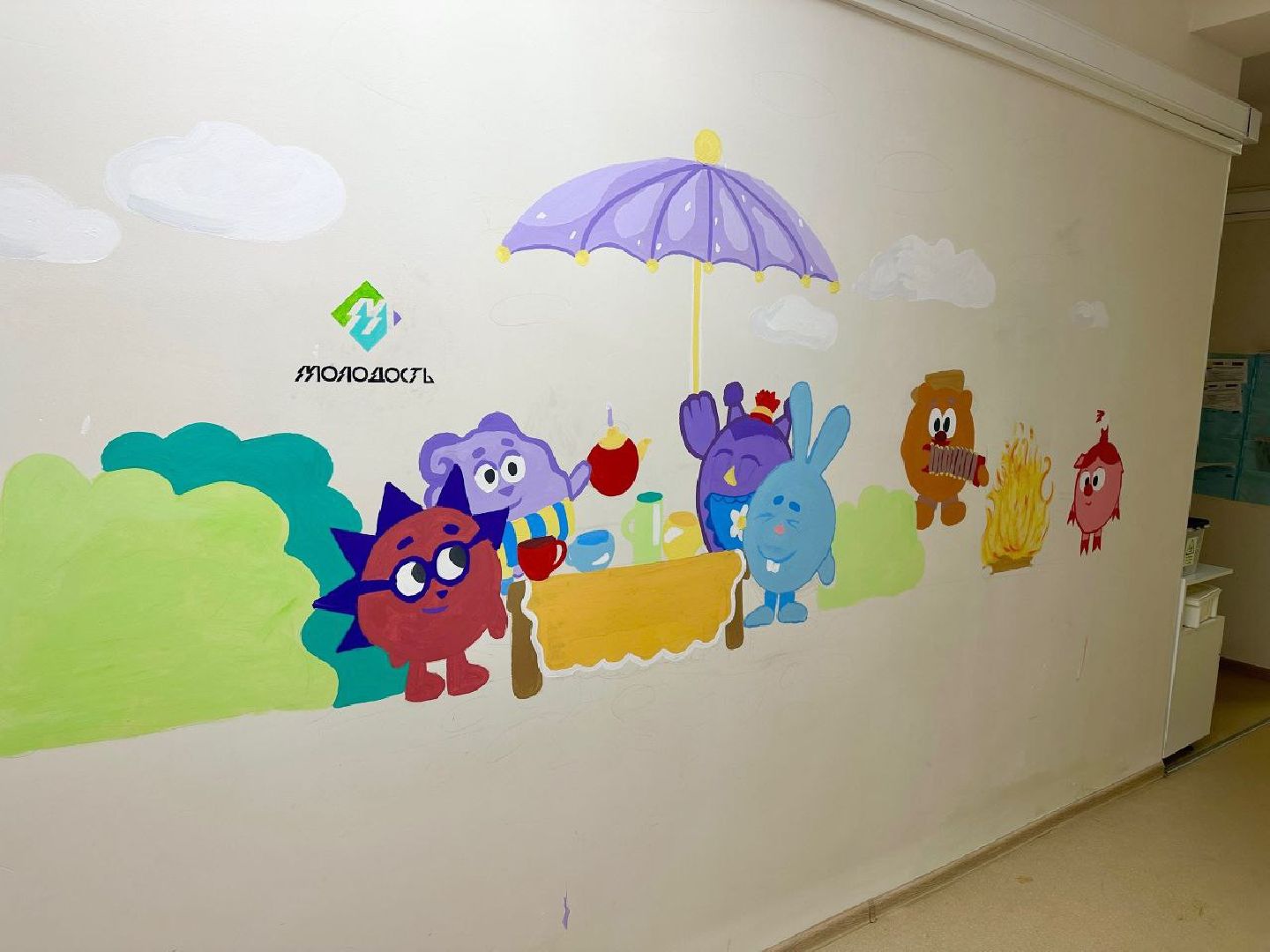 сергиев посад, районная больница, волонтеры сергиев посад, молодость,