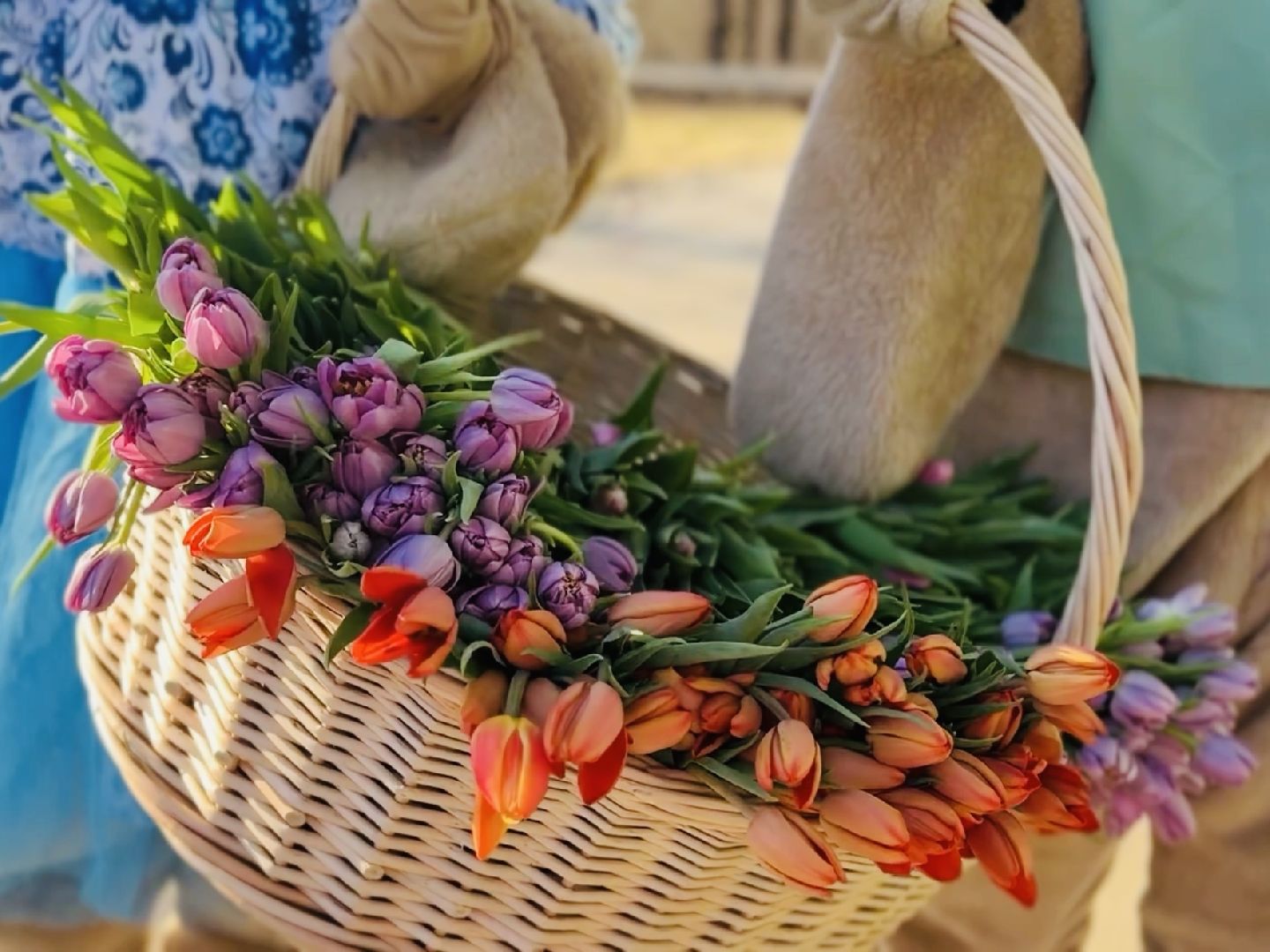 раменское, парк, 8 марта, международный женский день,