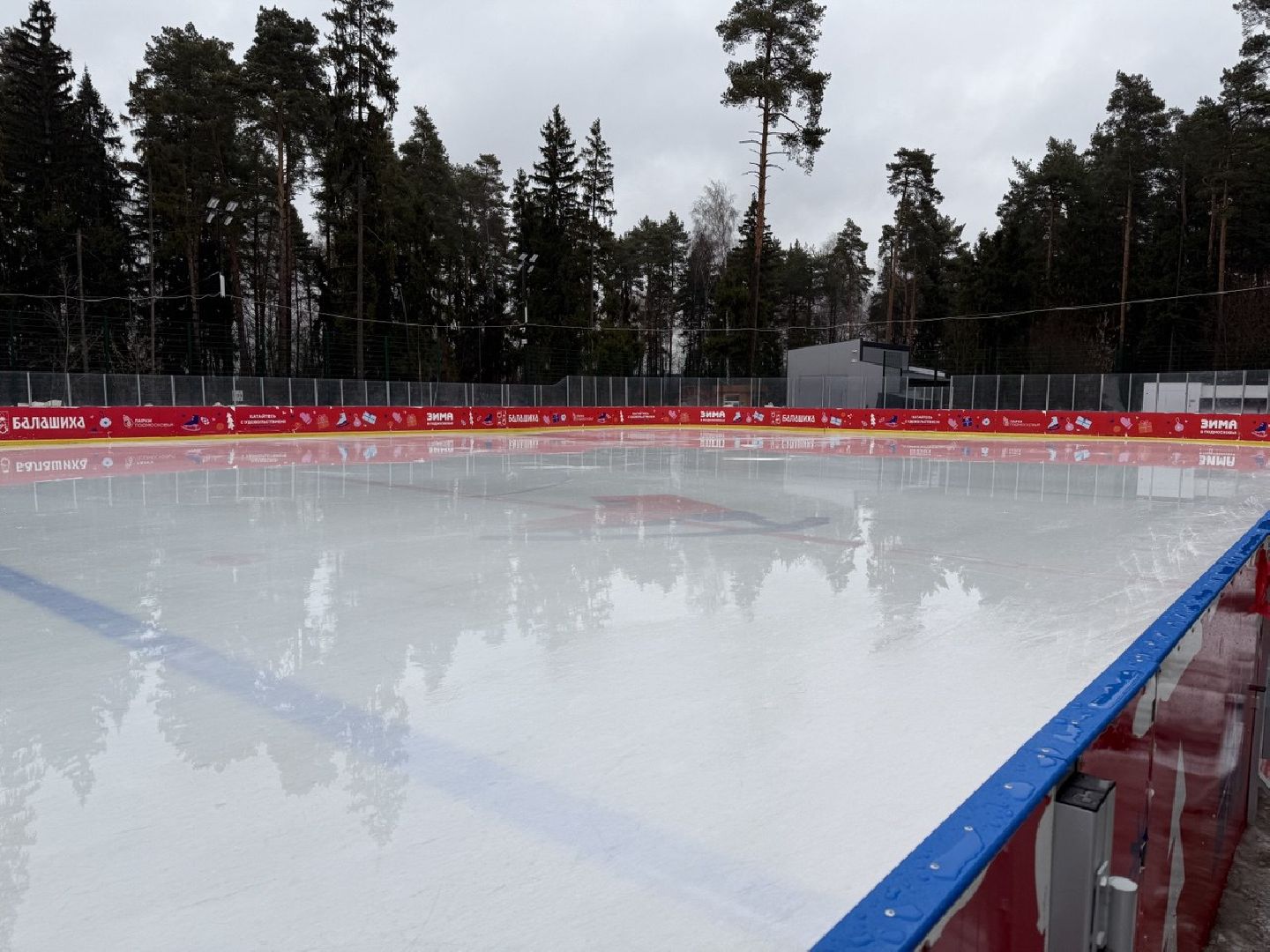 пестовский парк, кубок, закрытие сезона, каток,