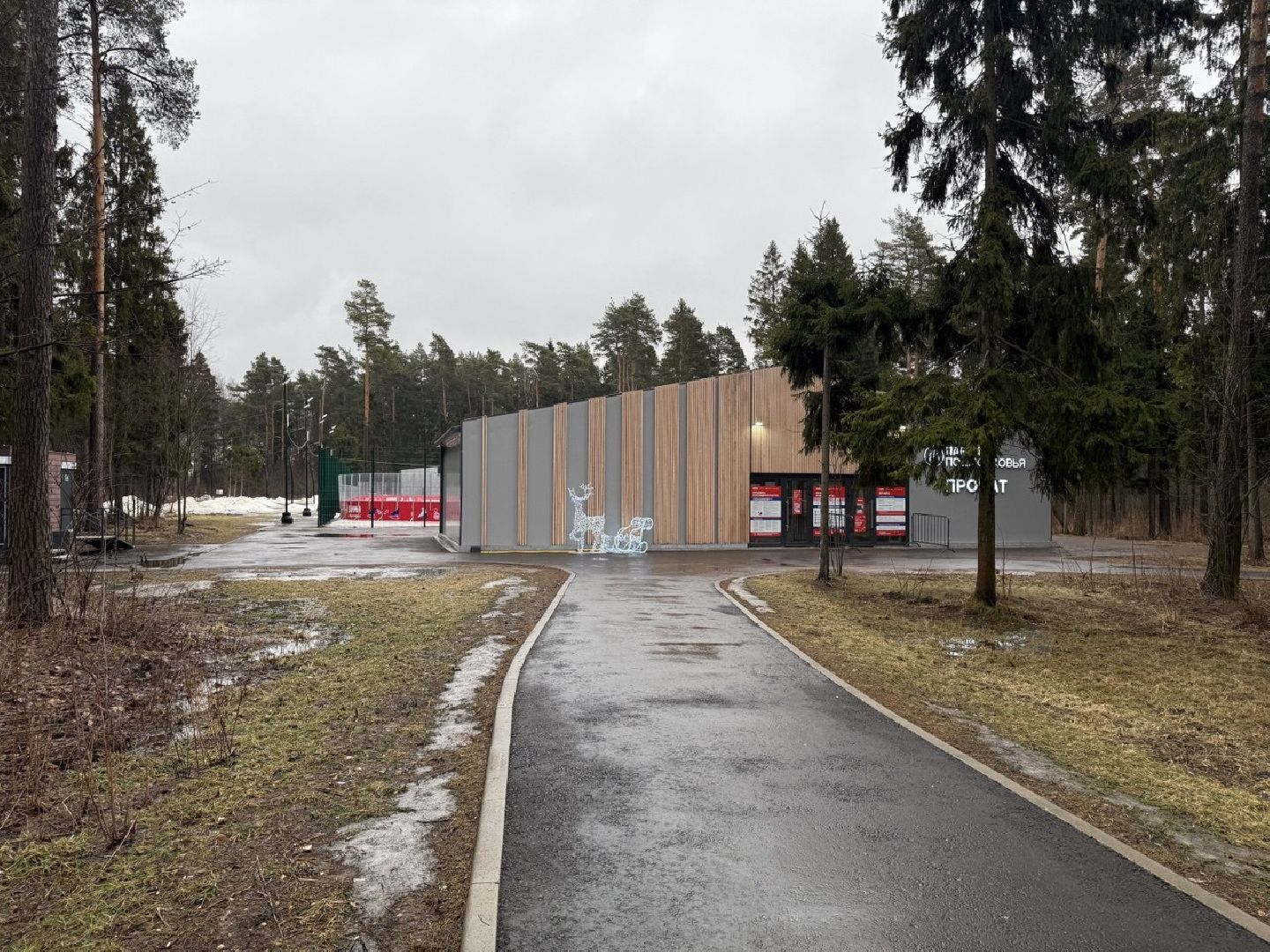 пестовский парк, кубок, закрытие сезона, каток,