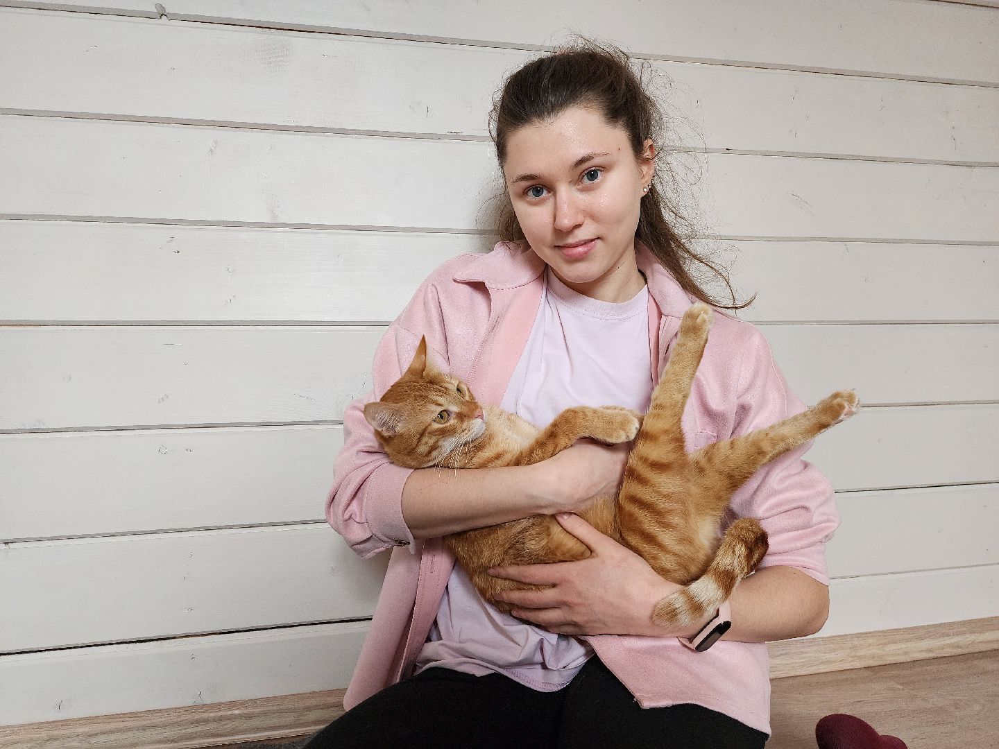 Дубна, Волонтер, Приют для кошек, Благотворительность, Приют лучик, Помощь животным,