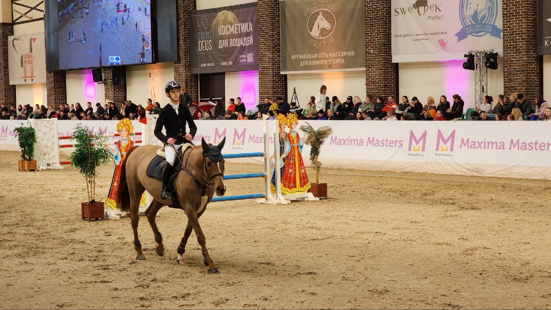 лошади, конный спорт, конный клуб, дмитров,