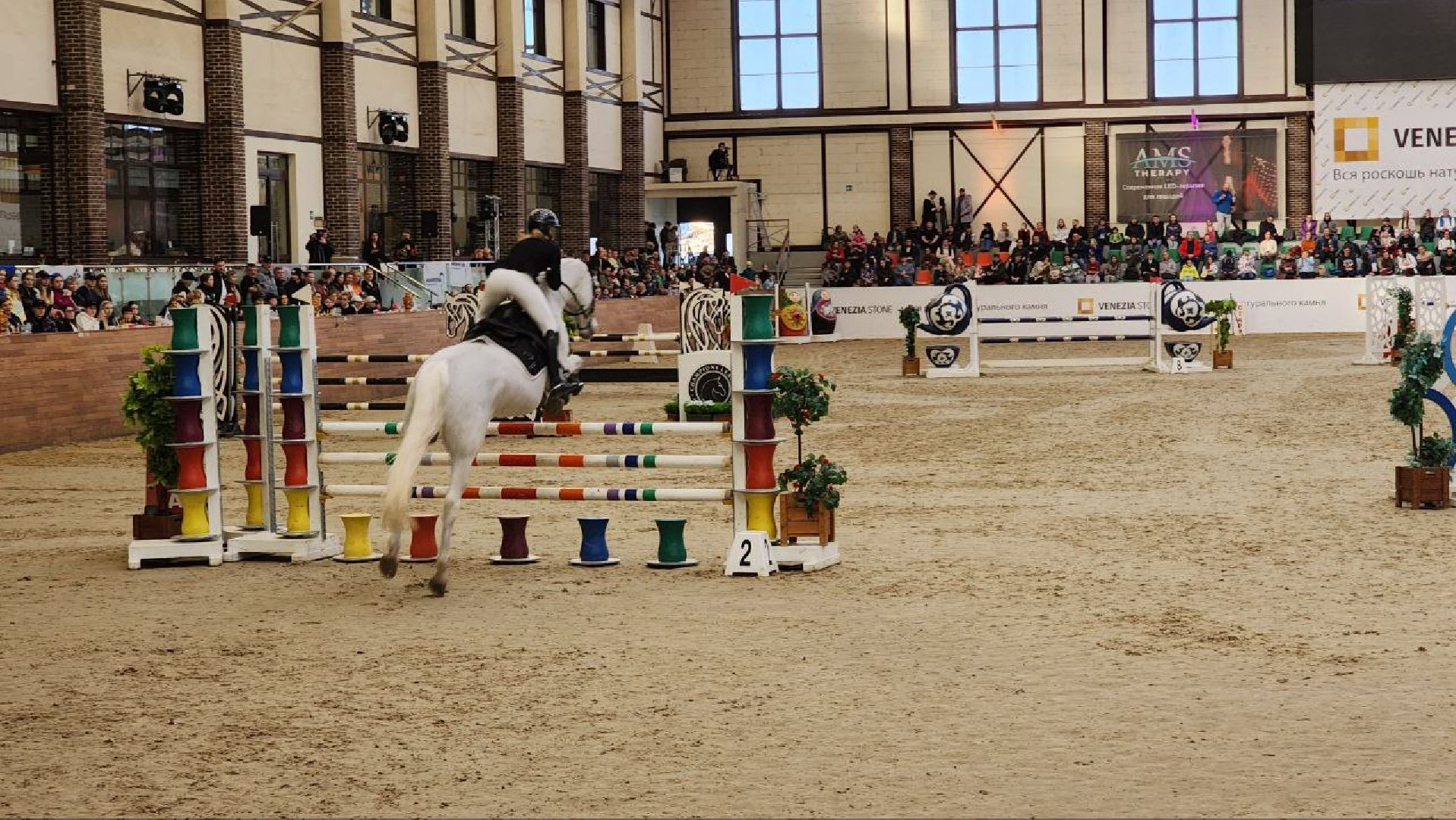 лошади, конный спорт, конный клуб, дмитров,