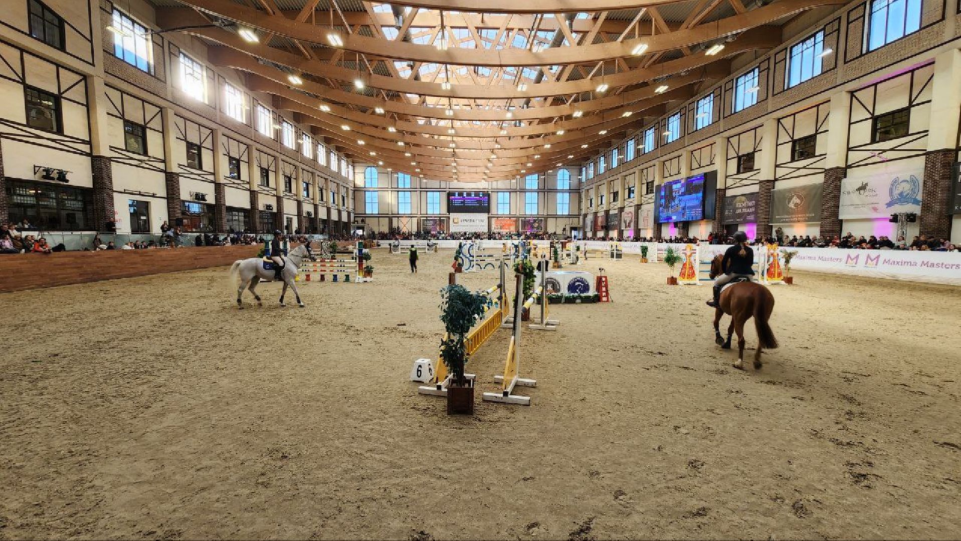 лошади, конный спорт, конный клуб, дмитров,