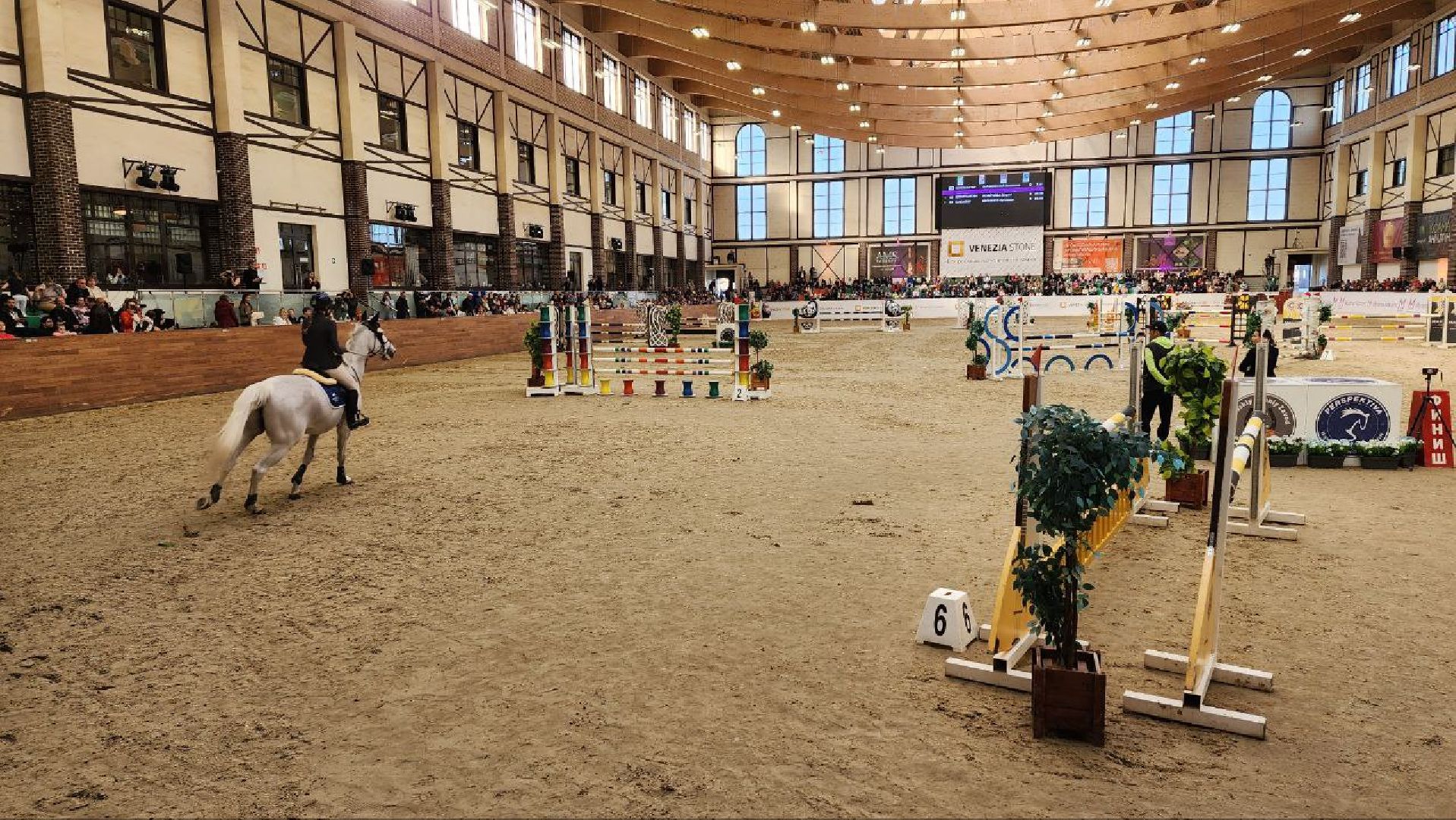 лошади, конный спорт, конный клуб, дмитров,