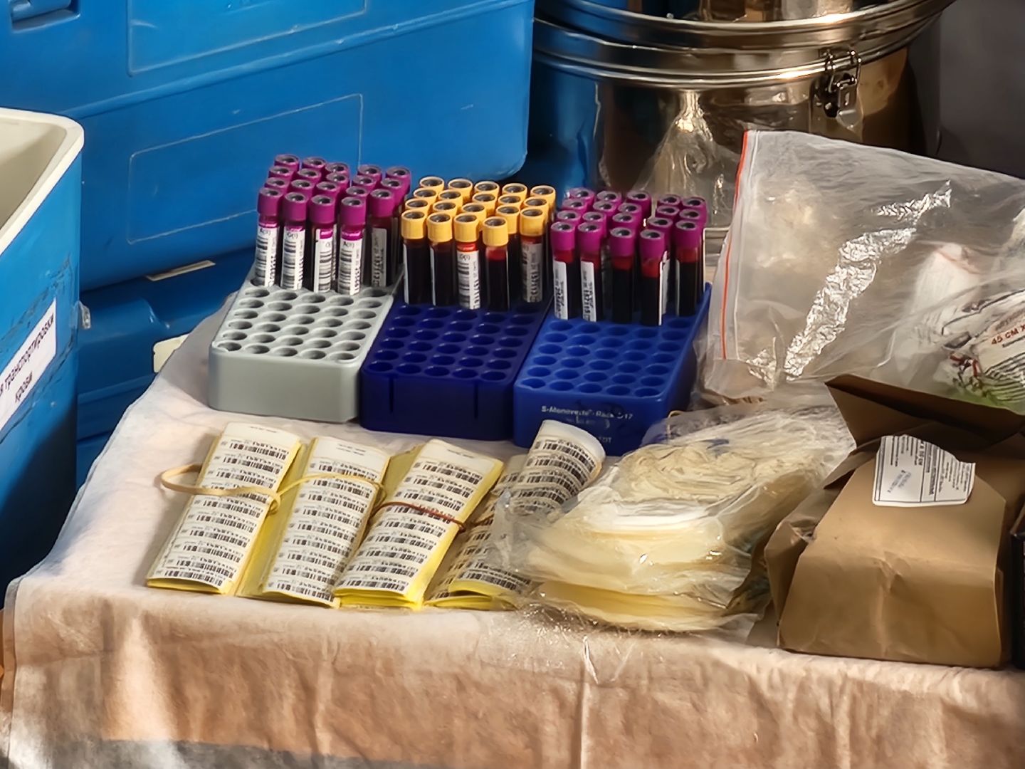 королёв, донор, помощь, акция,