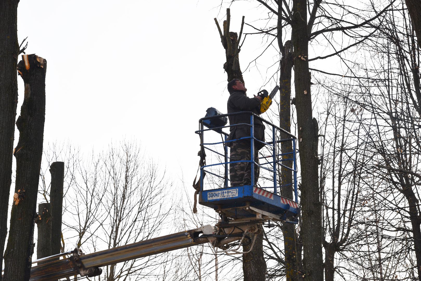 лотошино, добродел, обращения жителей, благоустройство,