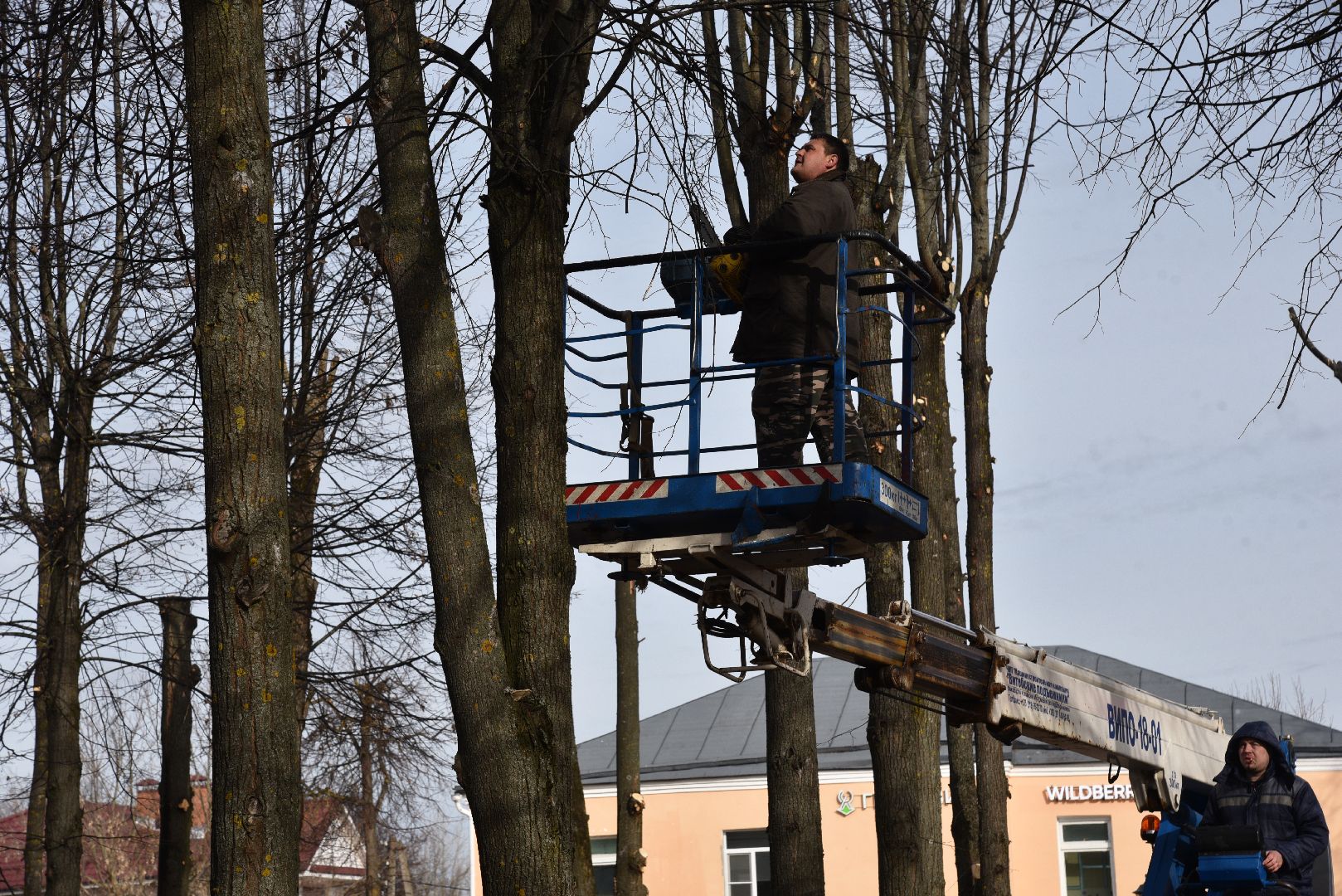 лотошино, добродел, обращения жителей, благоустройство,