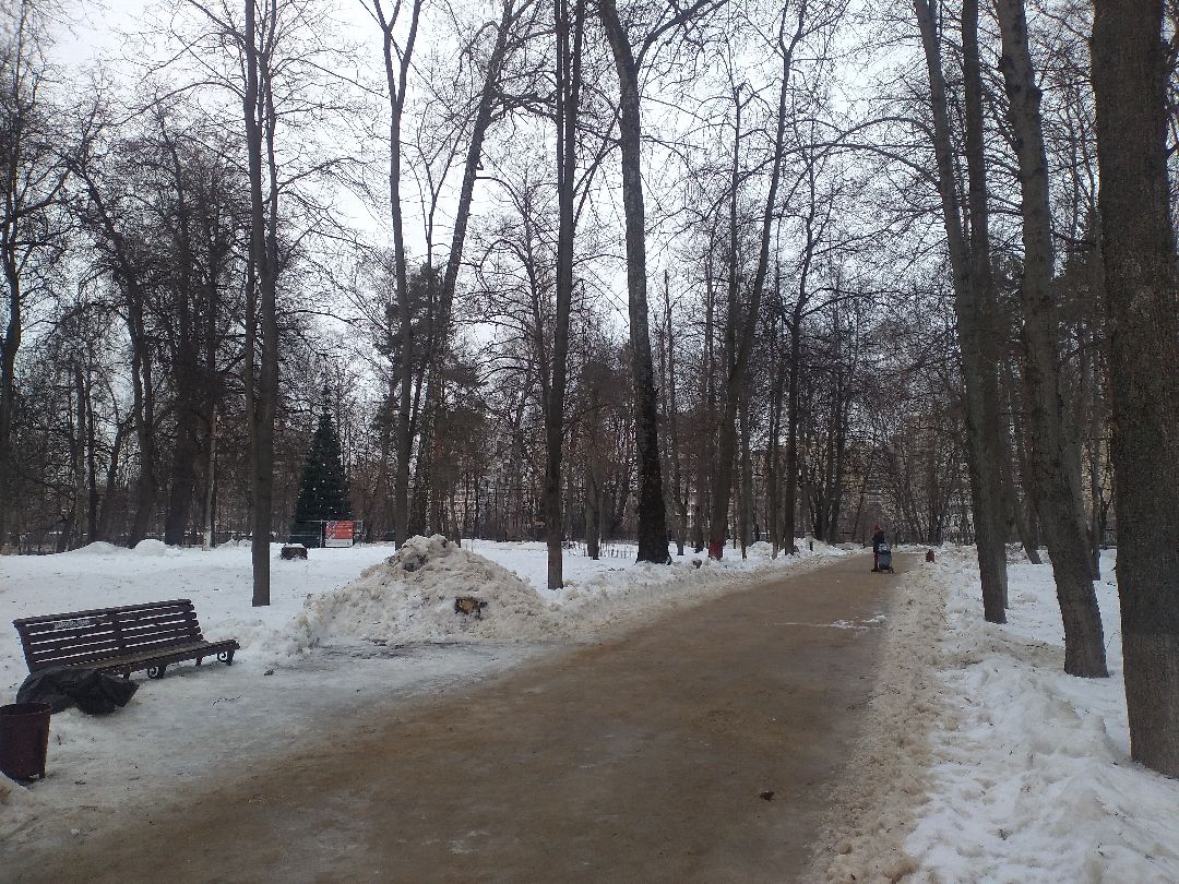 Лосино-Петровский, общество
