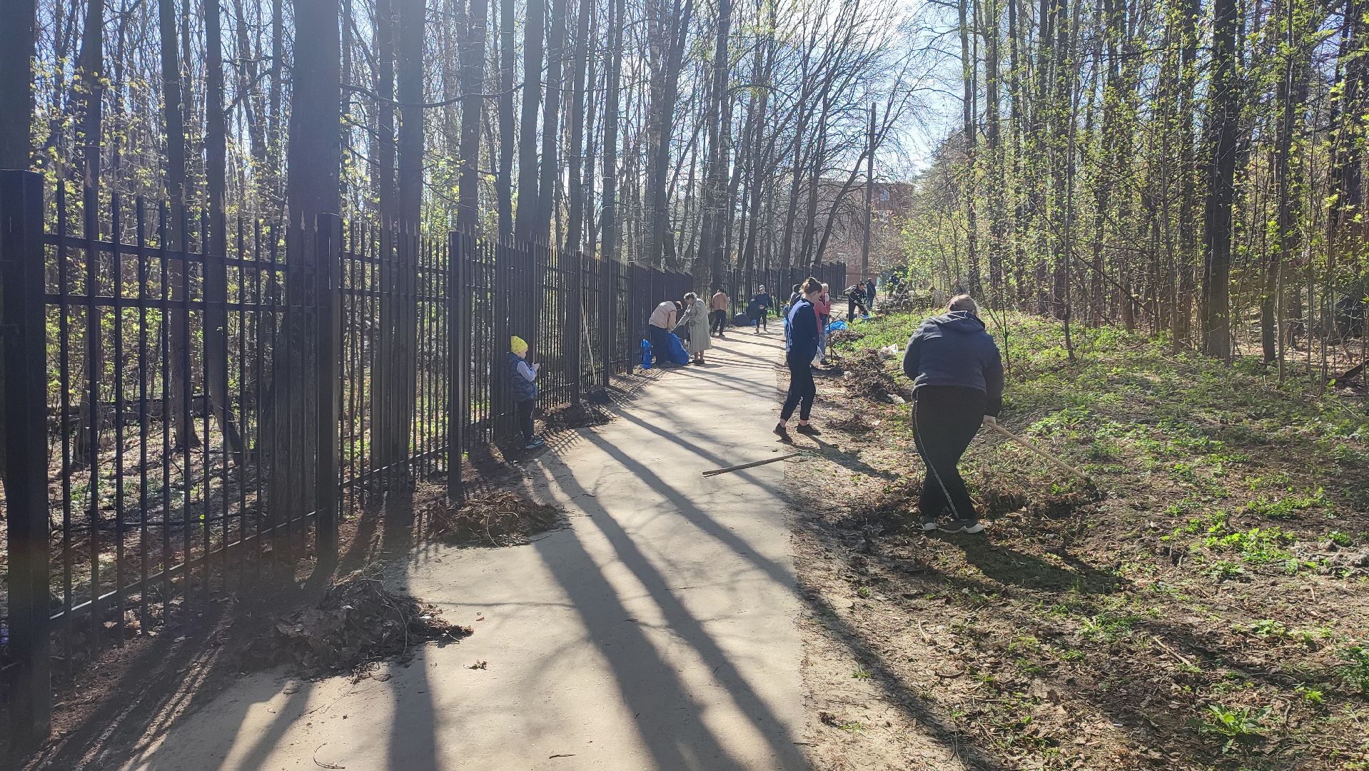 Кашира, субботник, благоустройство, парк