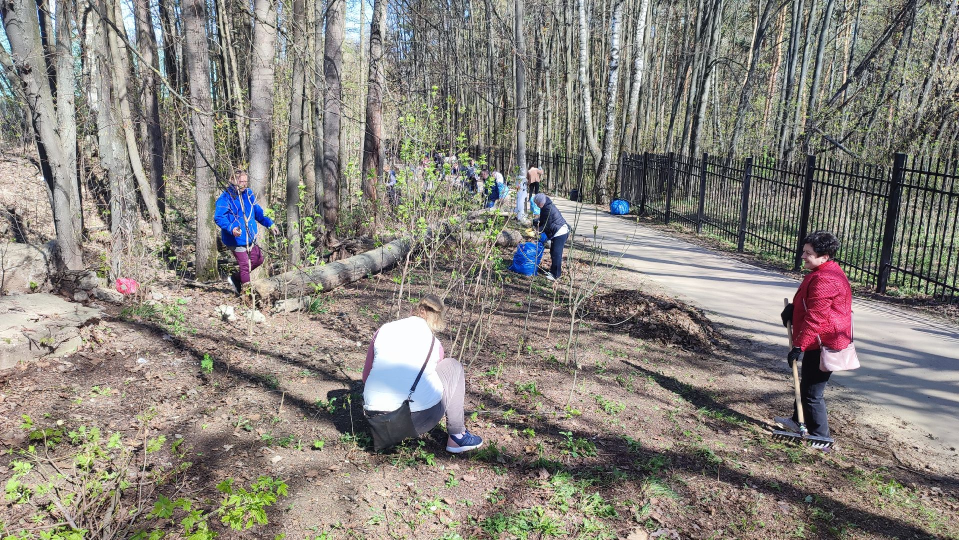 Кашира, субботник, благоустройство, парк