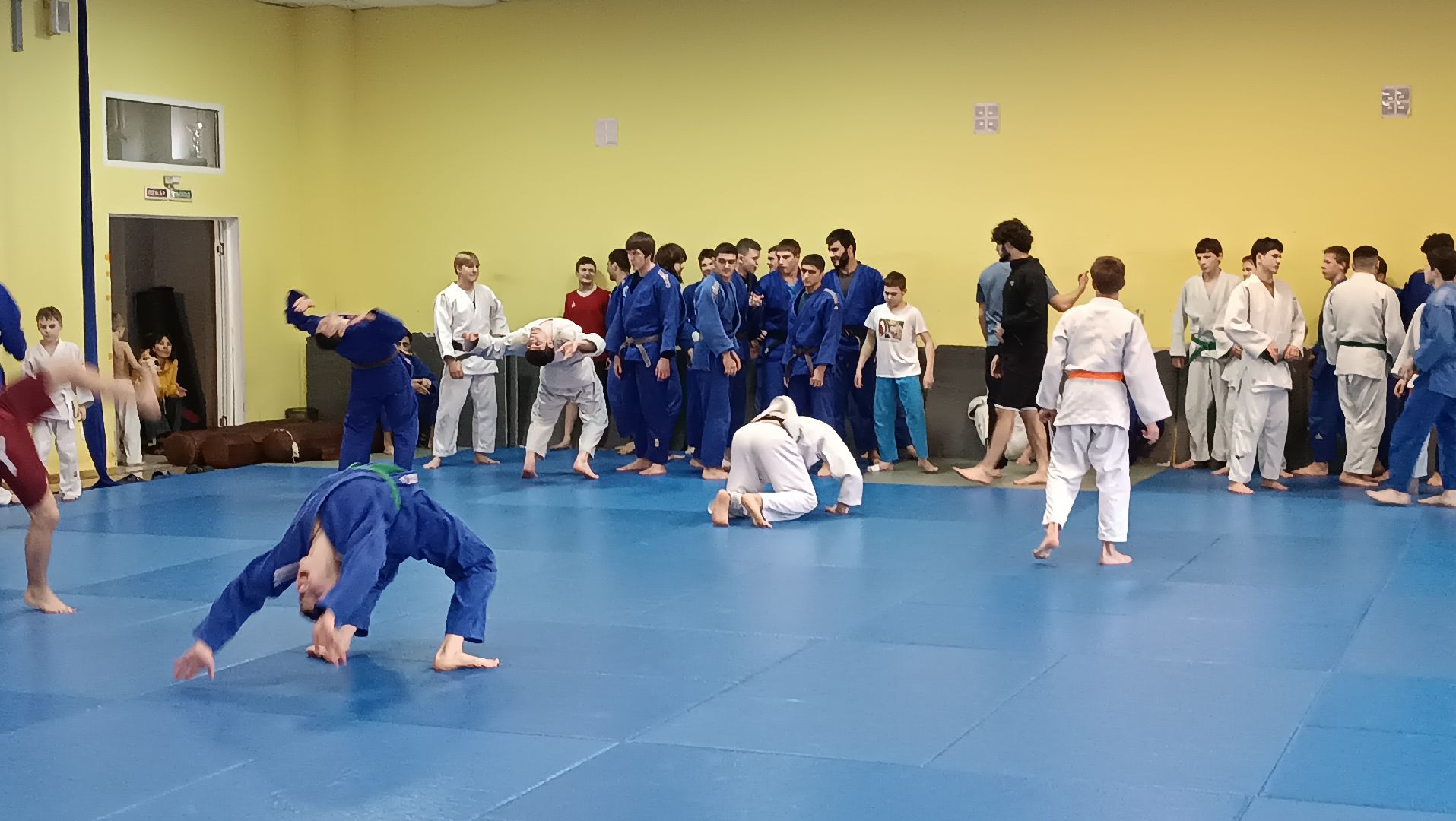 дзюдо, щёлково, чемпион мира, тренеровка,