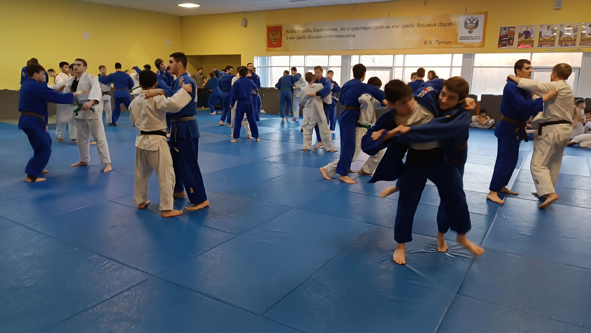 дзюдо, щёлково, чемпион мира, тренеровка,