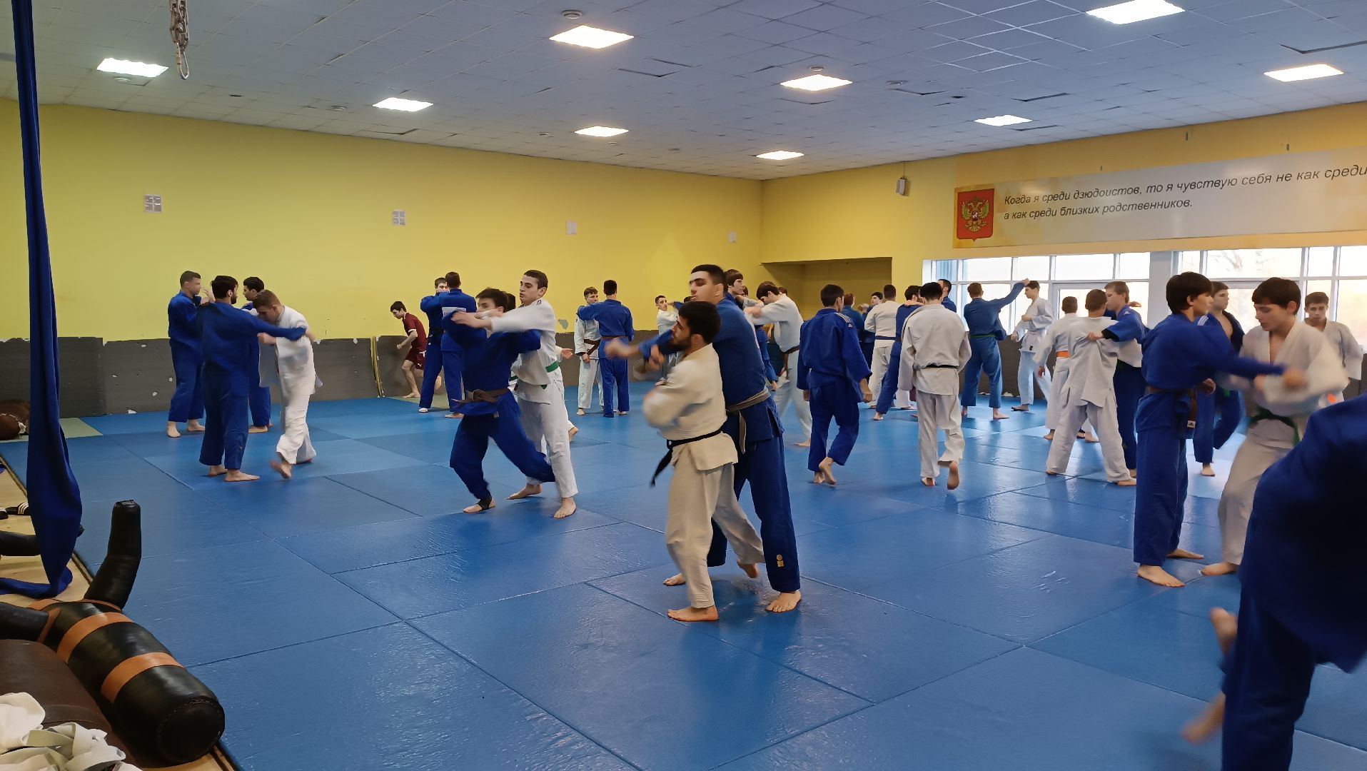 дзюдо, щёлково, чемпион мира, тренеровка,