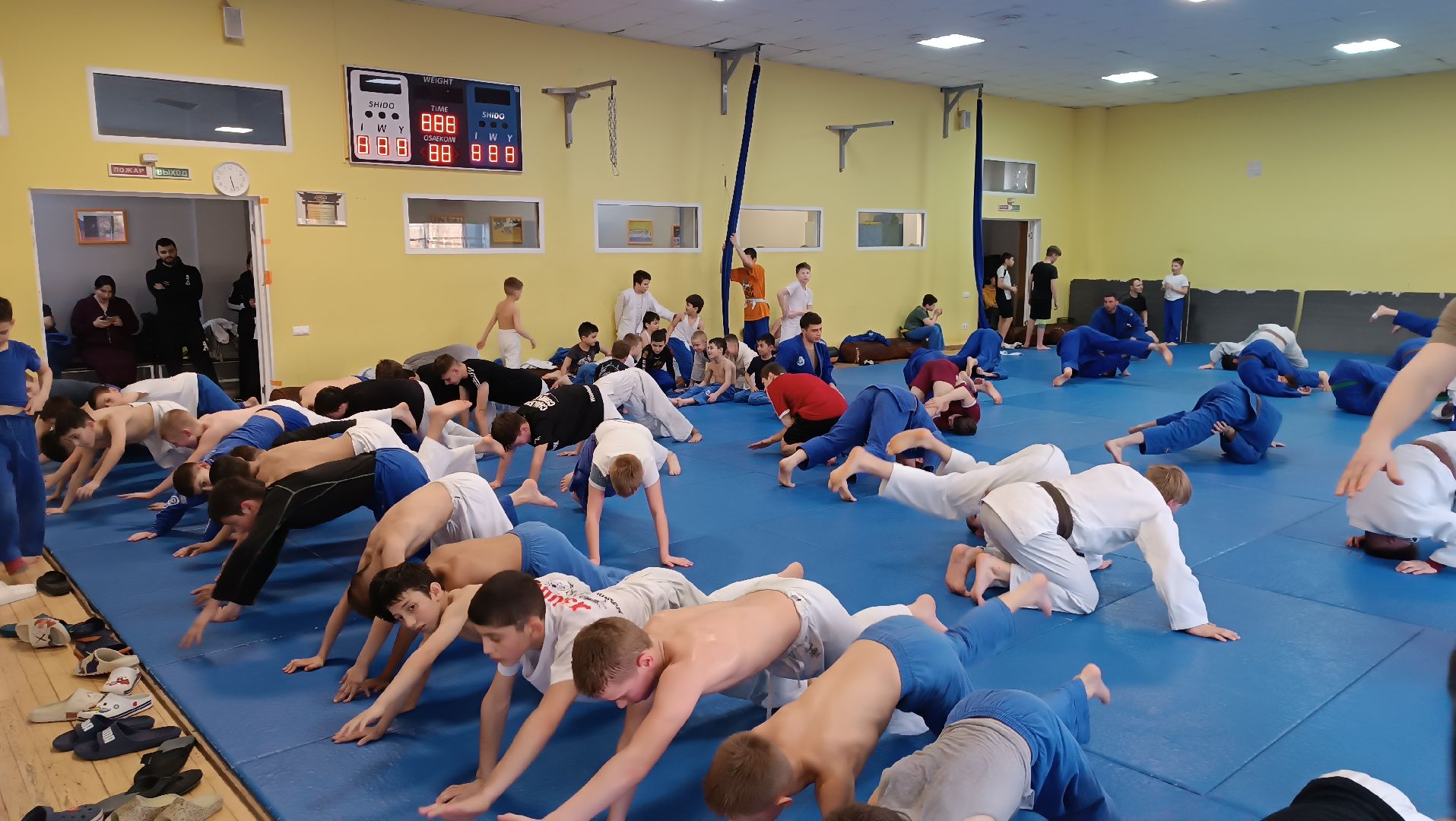 дзюдо, щёлково, чемпион мира, тренеровка,