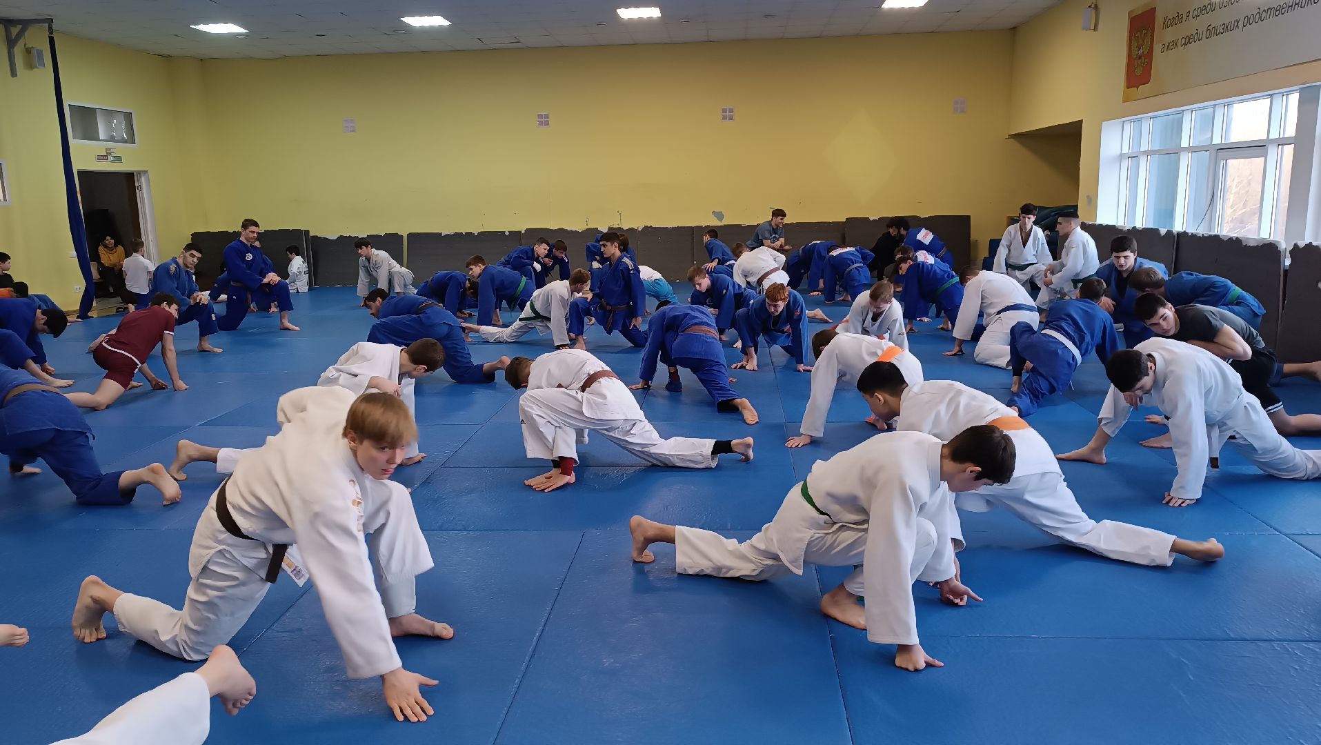 дзюдо, щёлково, чемпион мира, тренеровка,