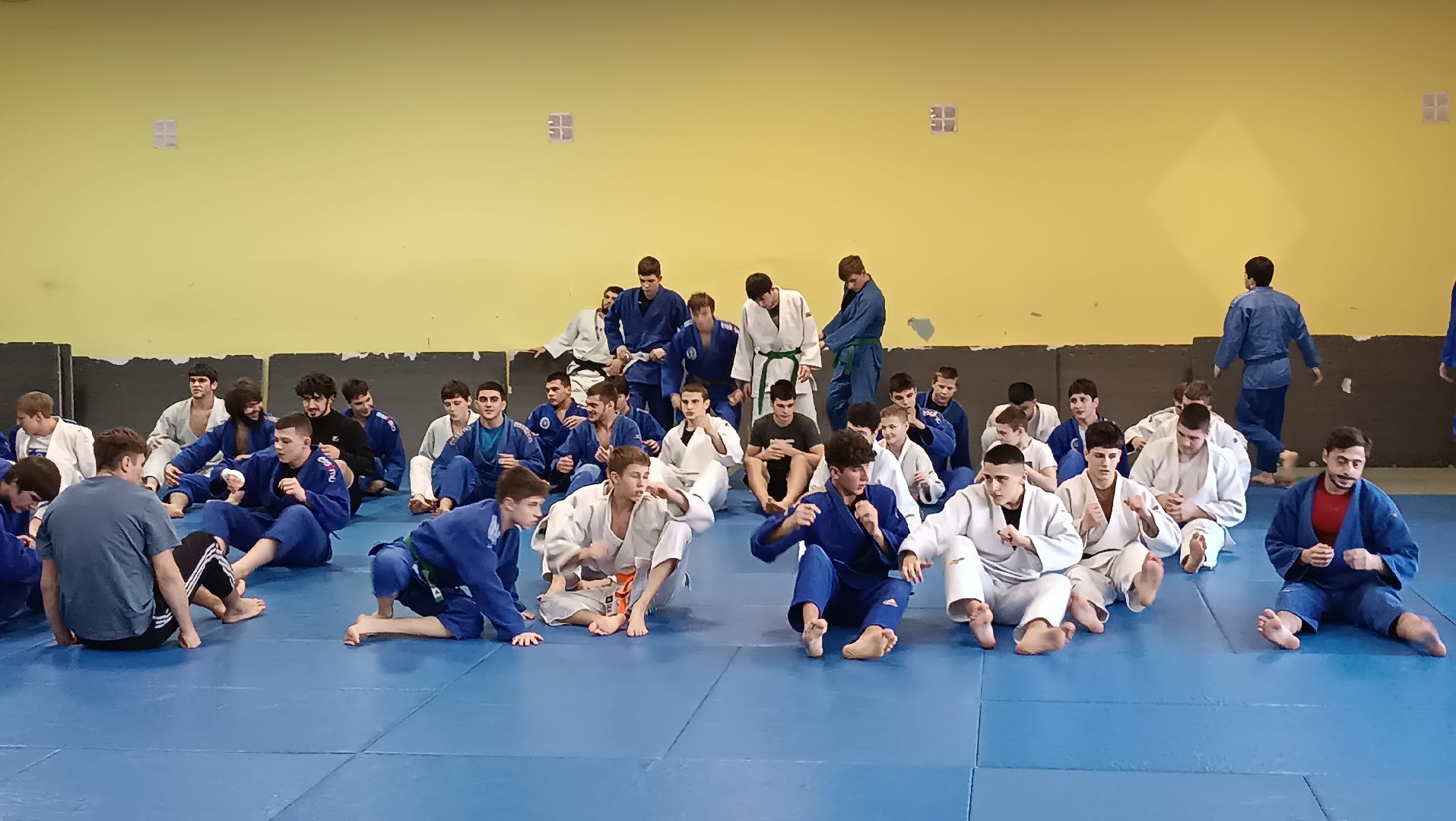 дзюдо, щёлково, чемпион мира, тренеровка,