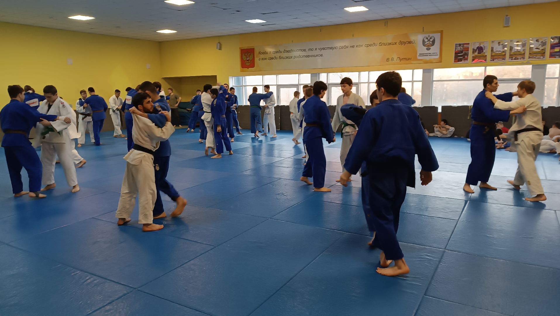 дзюдо, щёлково, чемпион мира, тренеровка,