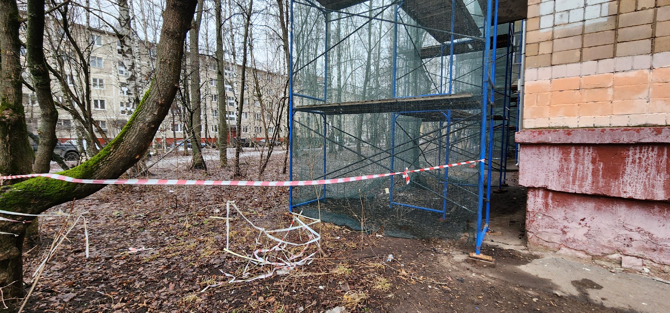 Химки, благоустройство, ремонт,