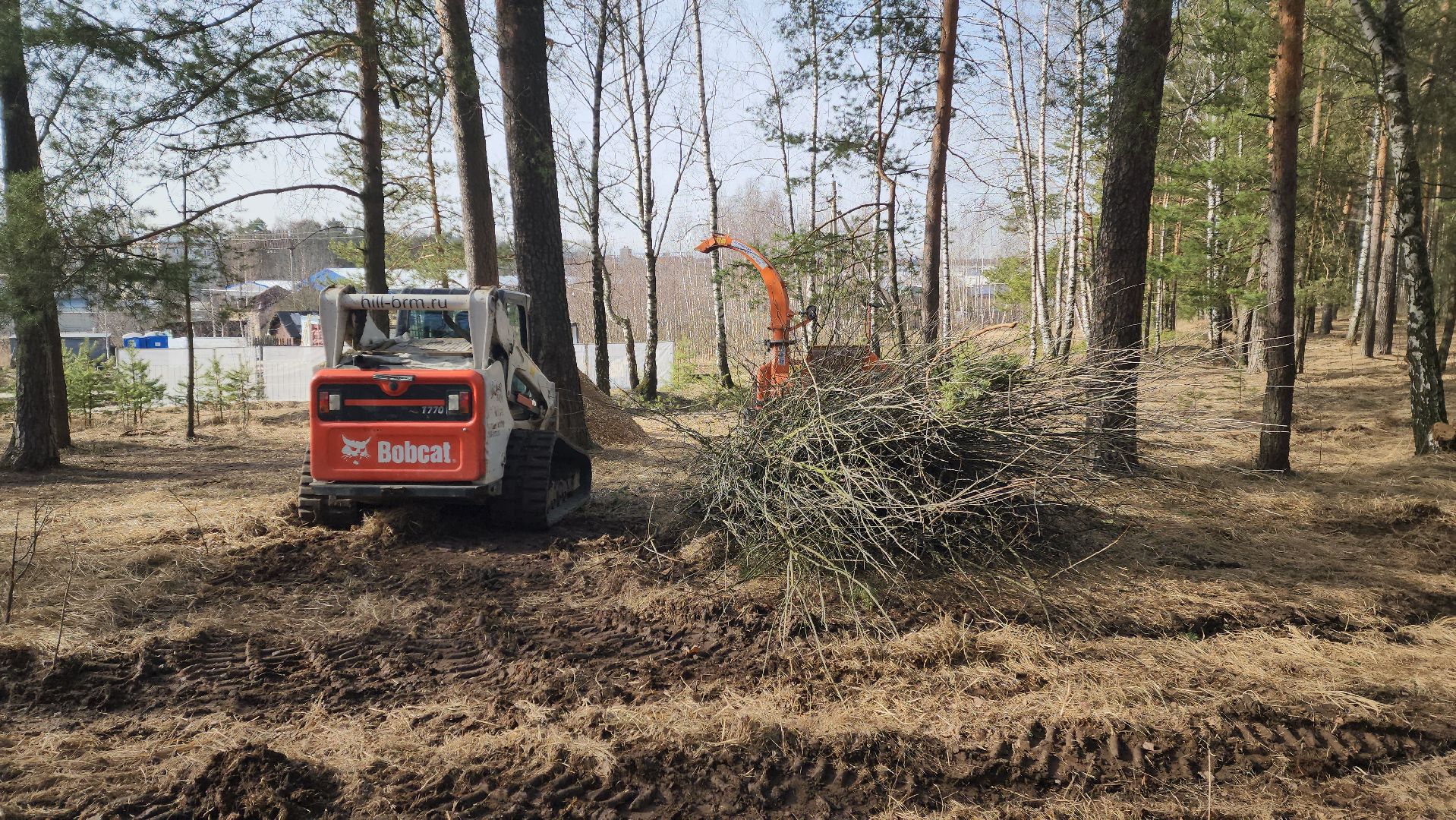 красноармейск, городской округ пушкинский, банный лес, лесопарк, благоустройство, парки подмосковья,