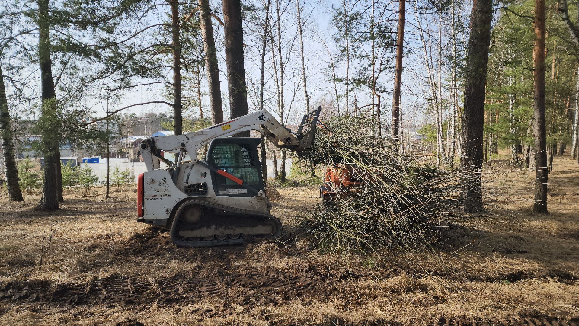 красноармейск, городской округ пушкинский, банный лес, лесопарк, благоустройство, парки подмосковья,