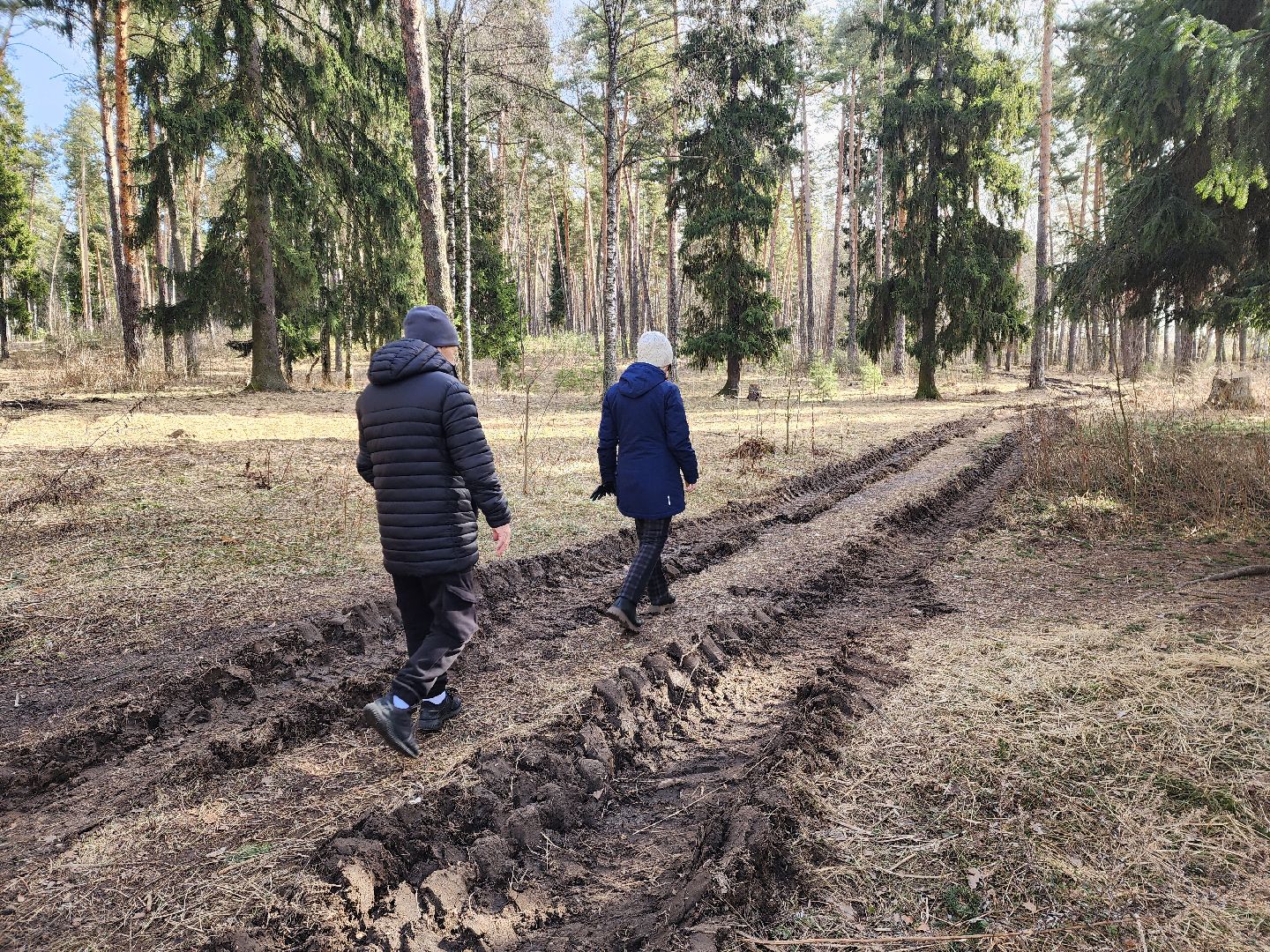 красноармейск, городской округ пушкинский, банный лес, лесопарк, благоустройство, парки подмосковья,