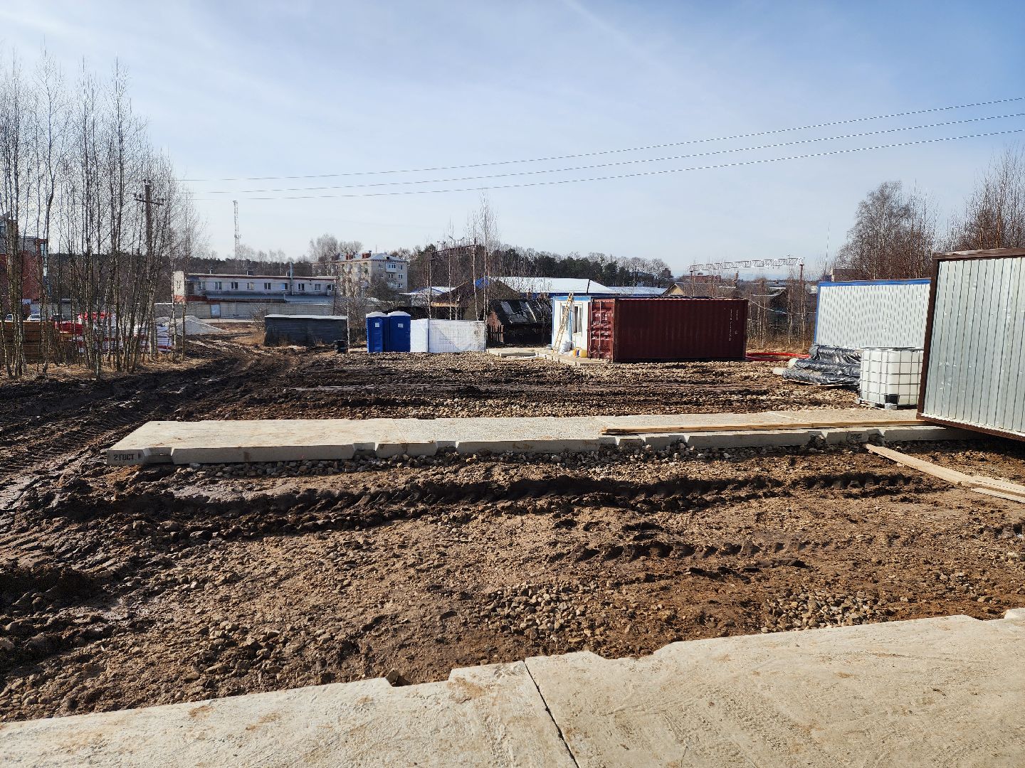 красноармейск, городской округ пушкинский, банный лес, лесопарк, благоустройство, парки подмосковья,