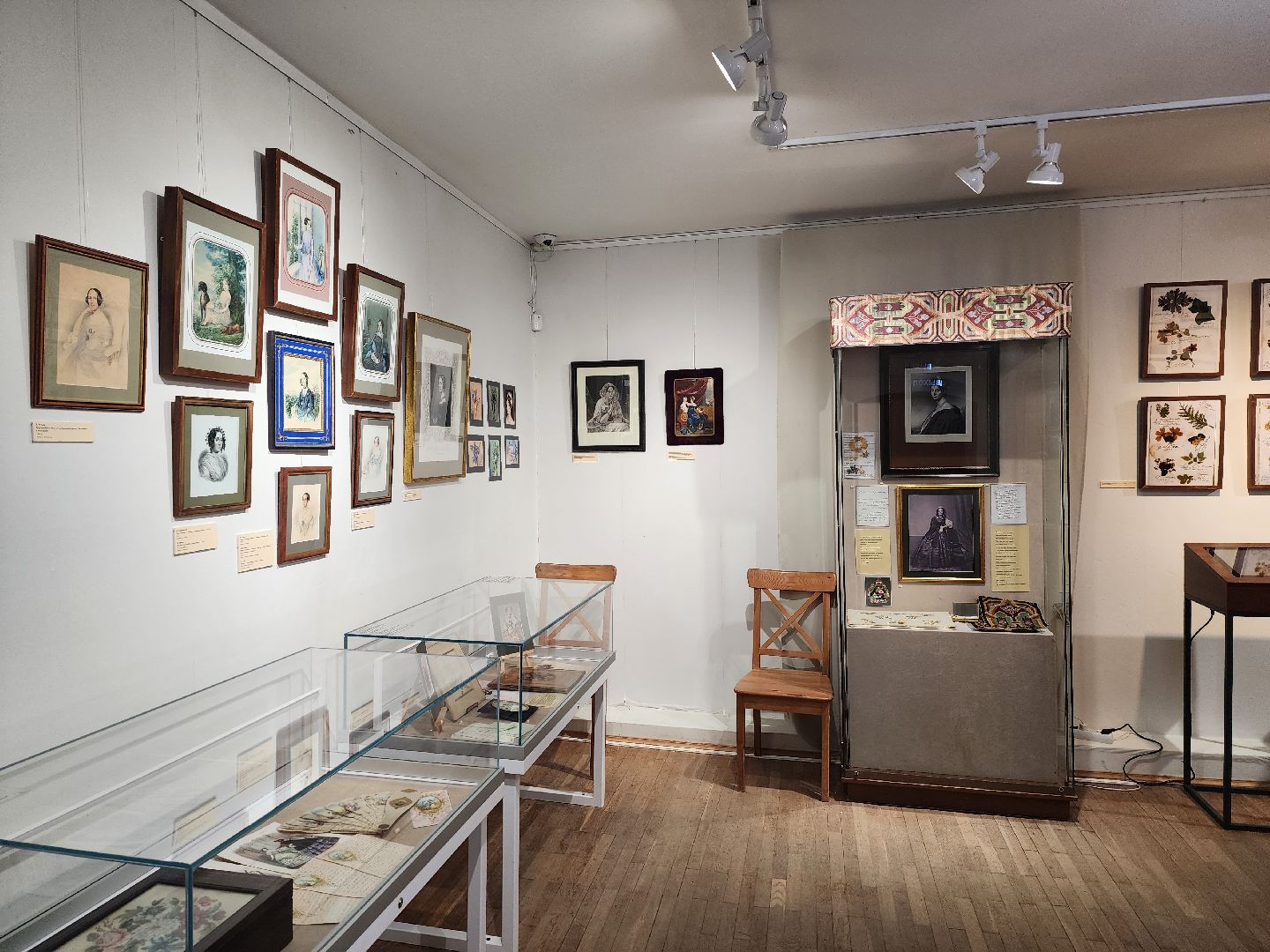 пушкино, выставка, гербарий,