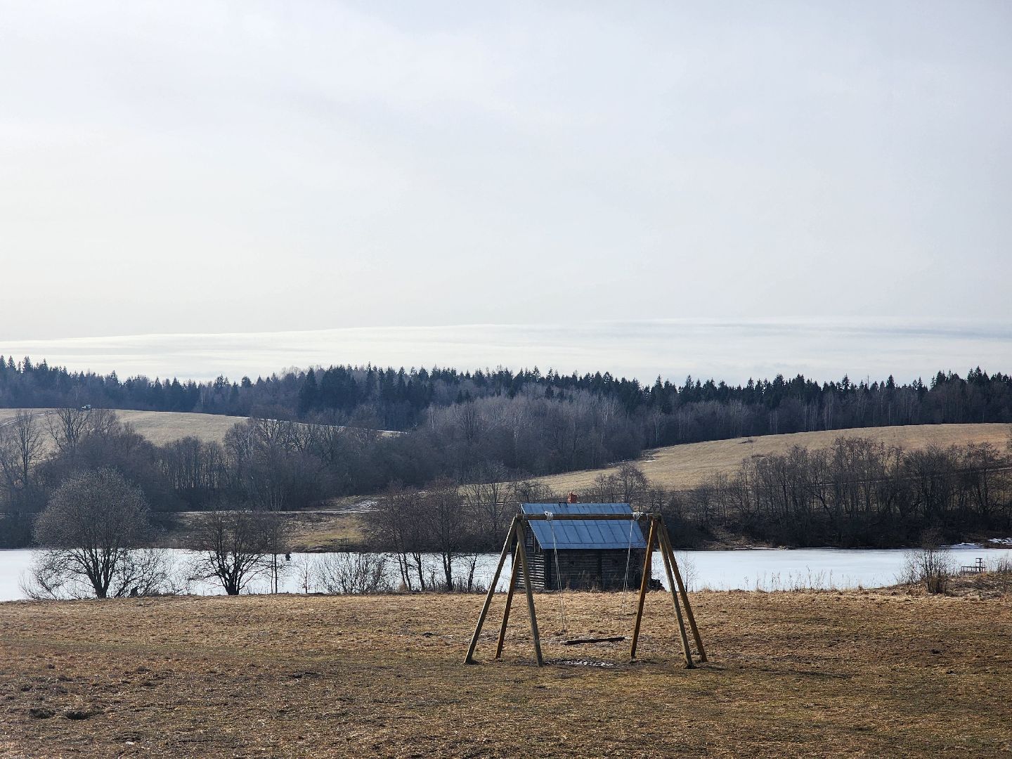 пушкино, выставка, гербарий,
