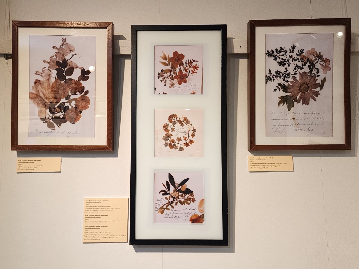 пушкино, выставка, гербарий,