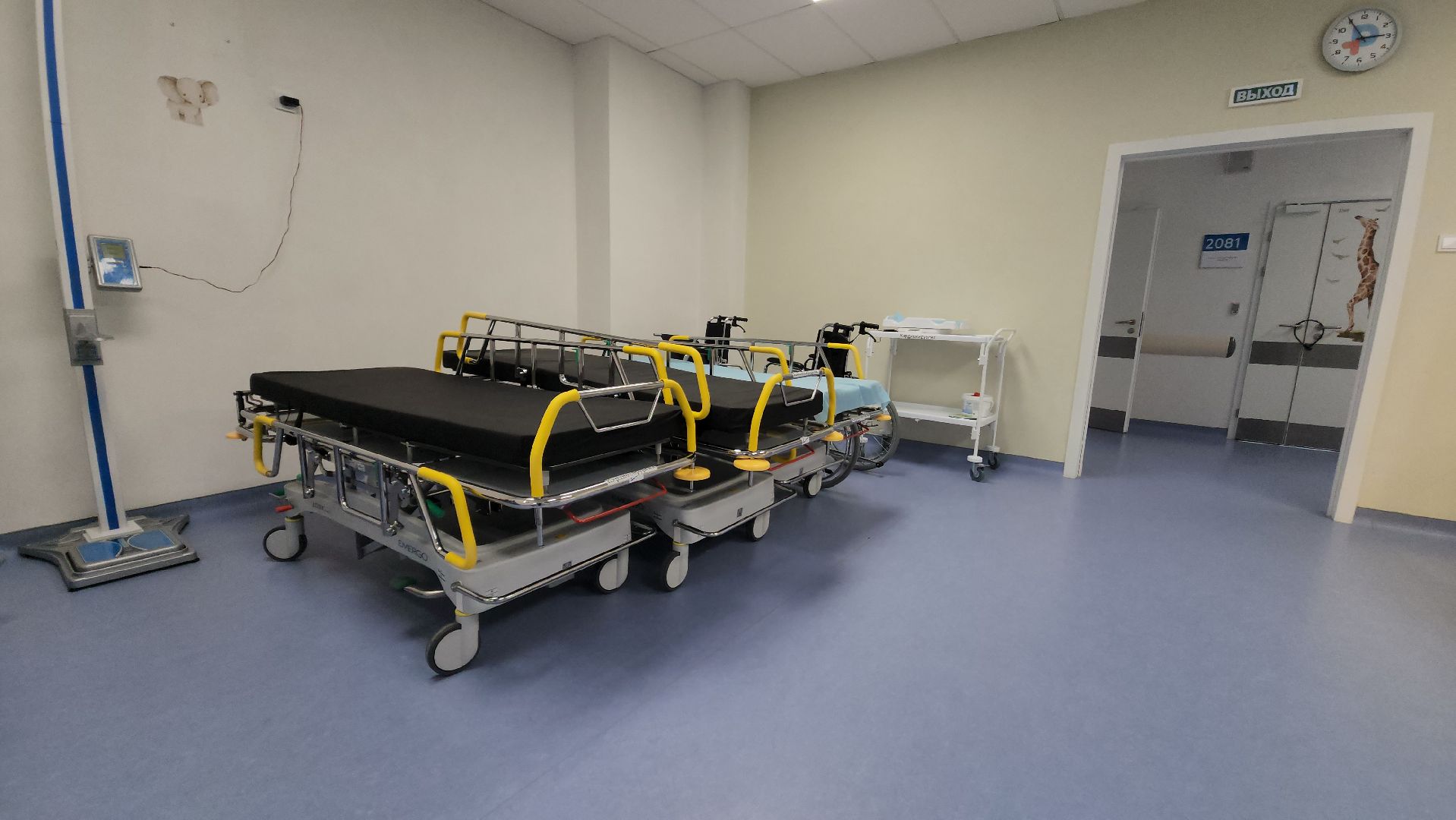 дкц имени рошаля, медицина, хирург, красногорск,