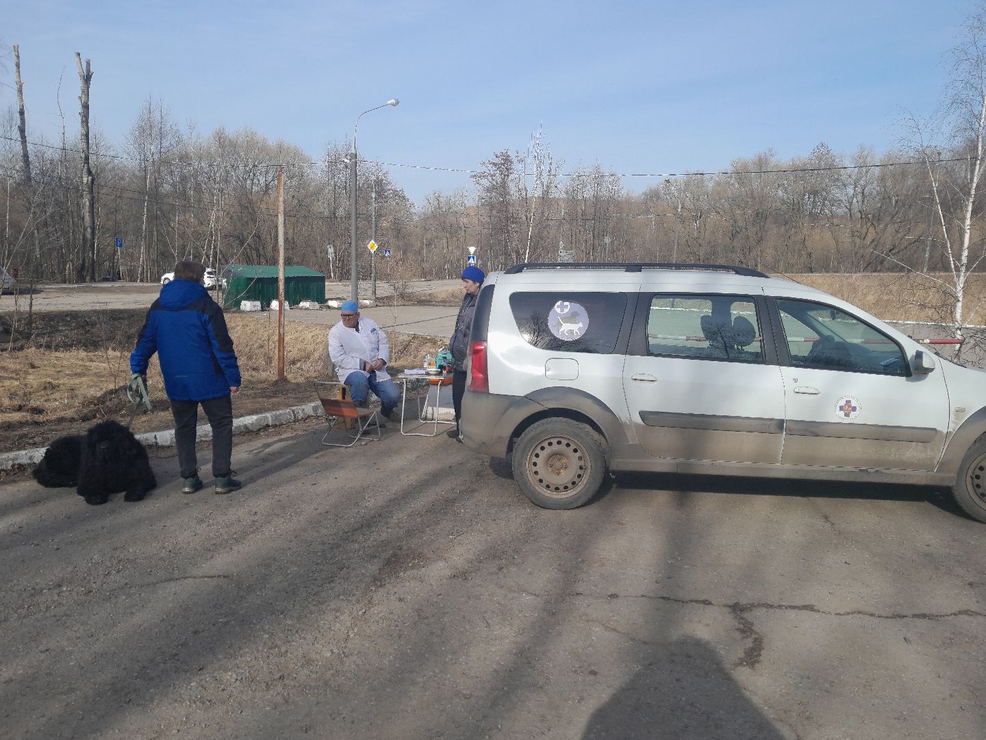 вакцинация животных, балашиха, павлино, домашние животные,