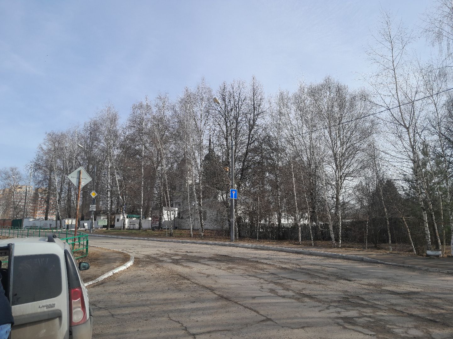 вакцинация животных, балашиха, павлино, домашние животные,