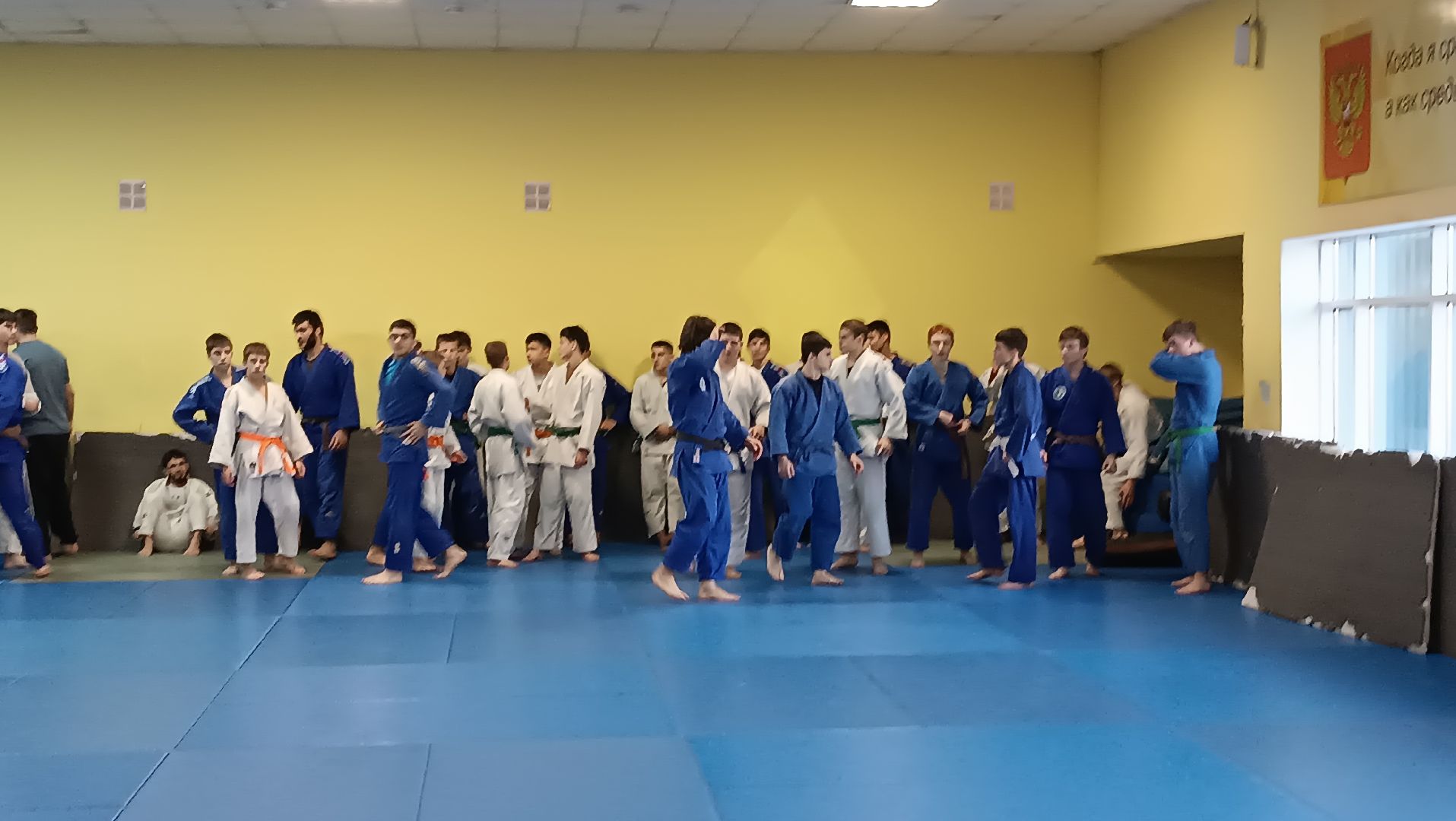 дзюдо, чемпион мира, щёлково, тренеровка,