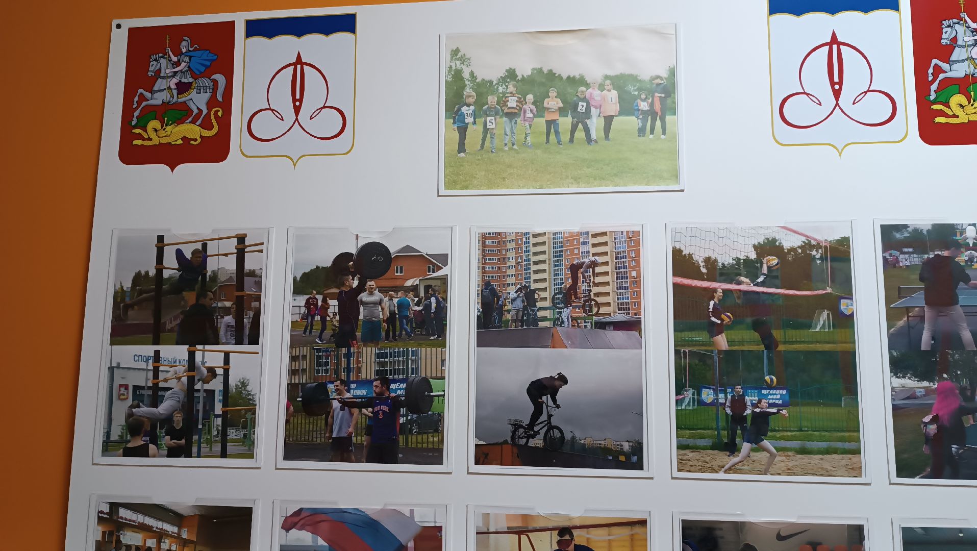 дзюдо, чемпион мира, щёлково, тренеровка,