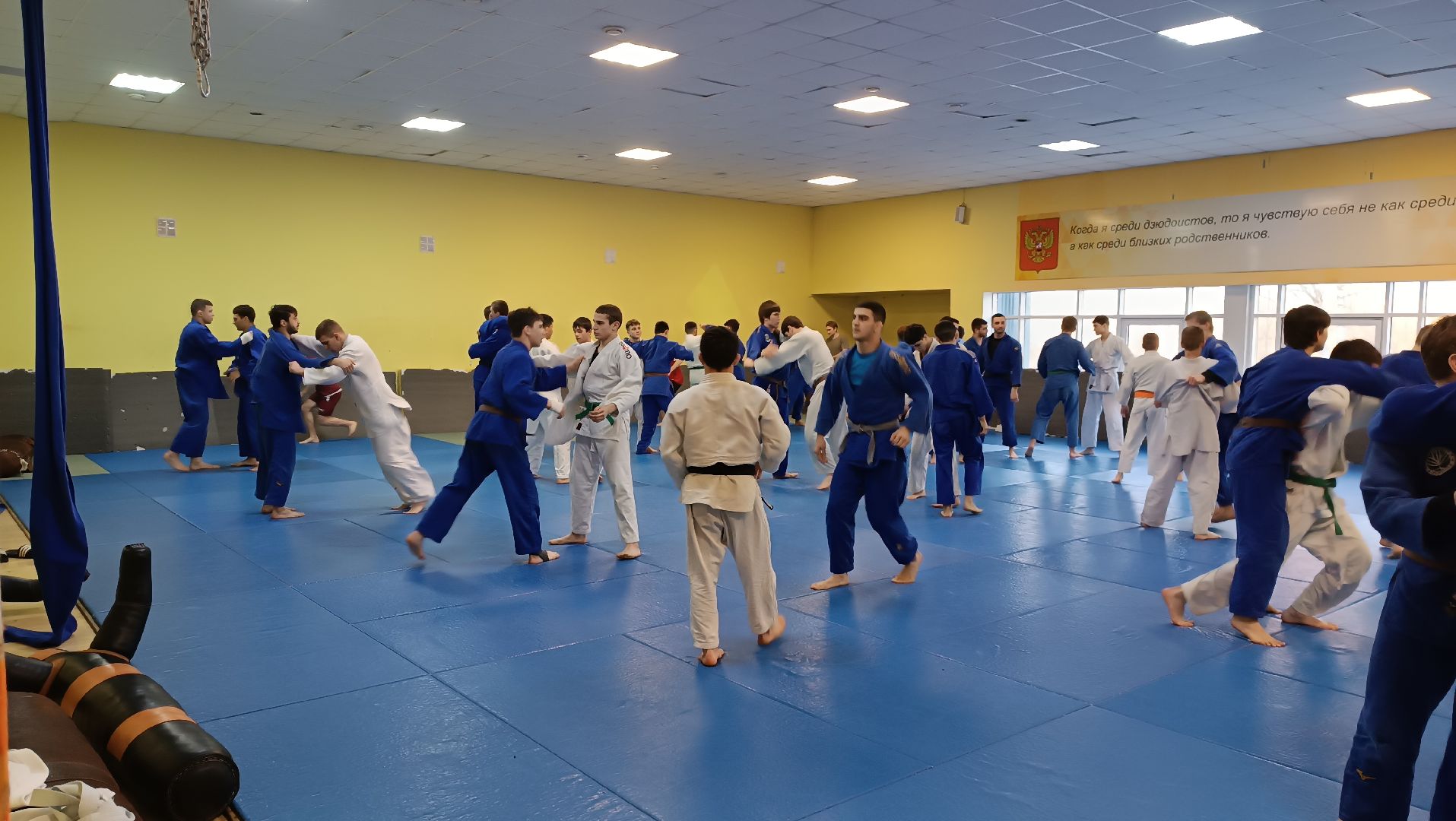 дзюдо, чемпион мира, щёлково, тренеровка,