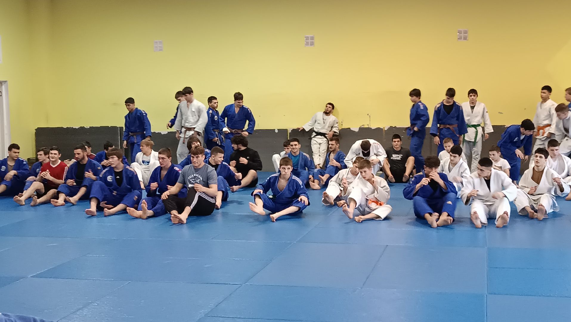 дзюдо, чемпион мира, щёлково, тренеровка,