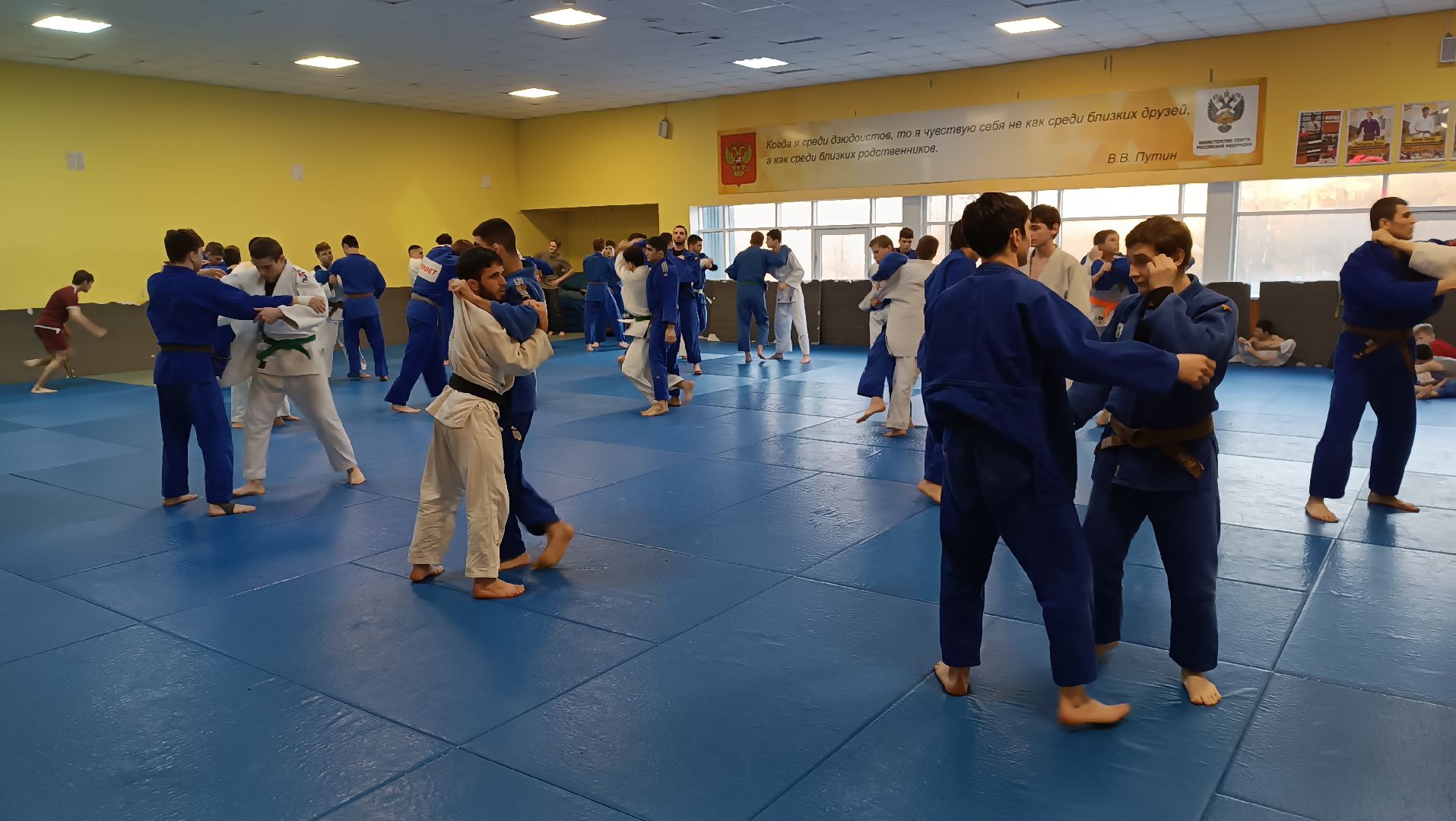 дзюдо, чемпион мира, щёлково, тренеровка,