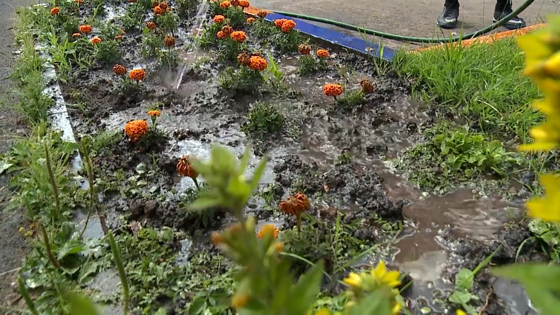 Реутов, трудовое лето, школьники, трудоустройство, Центр занятости населения