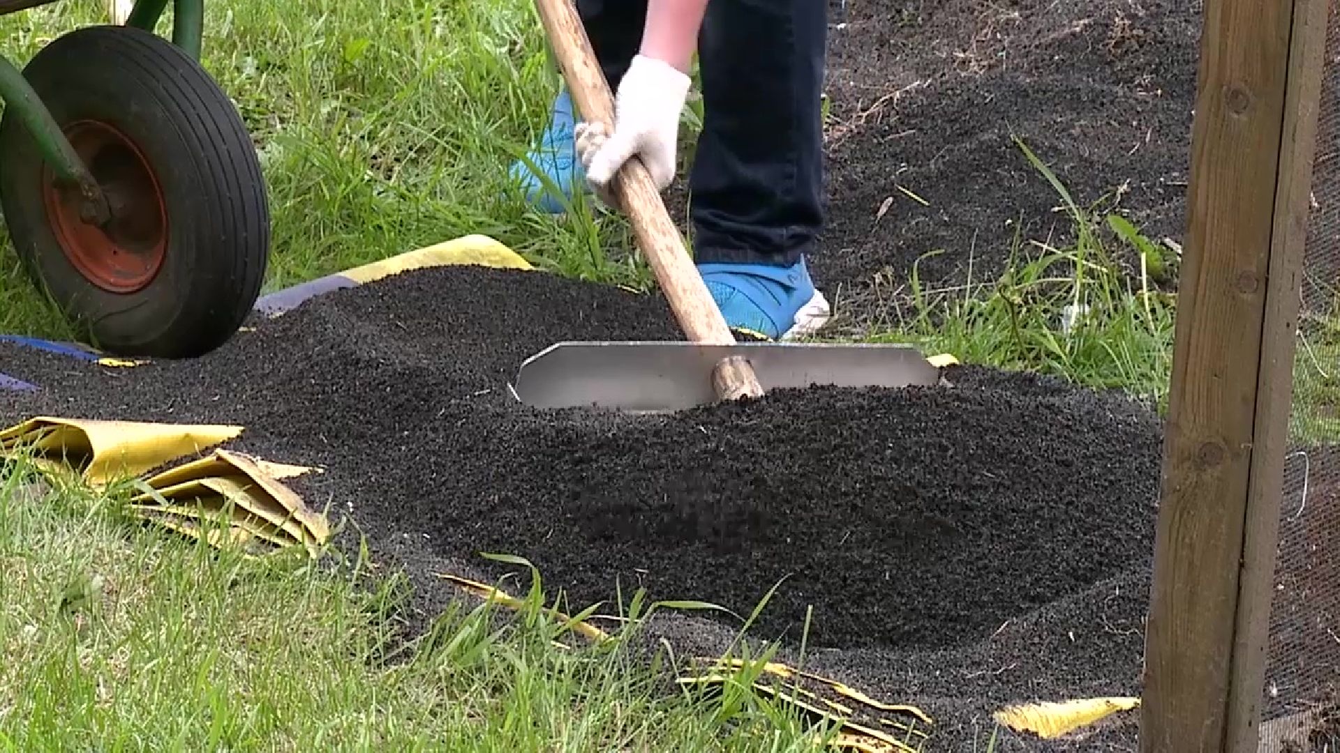 Реутов, трудовое лето, школьники, трудоустройство, Центр занятости населения