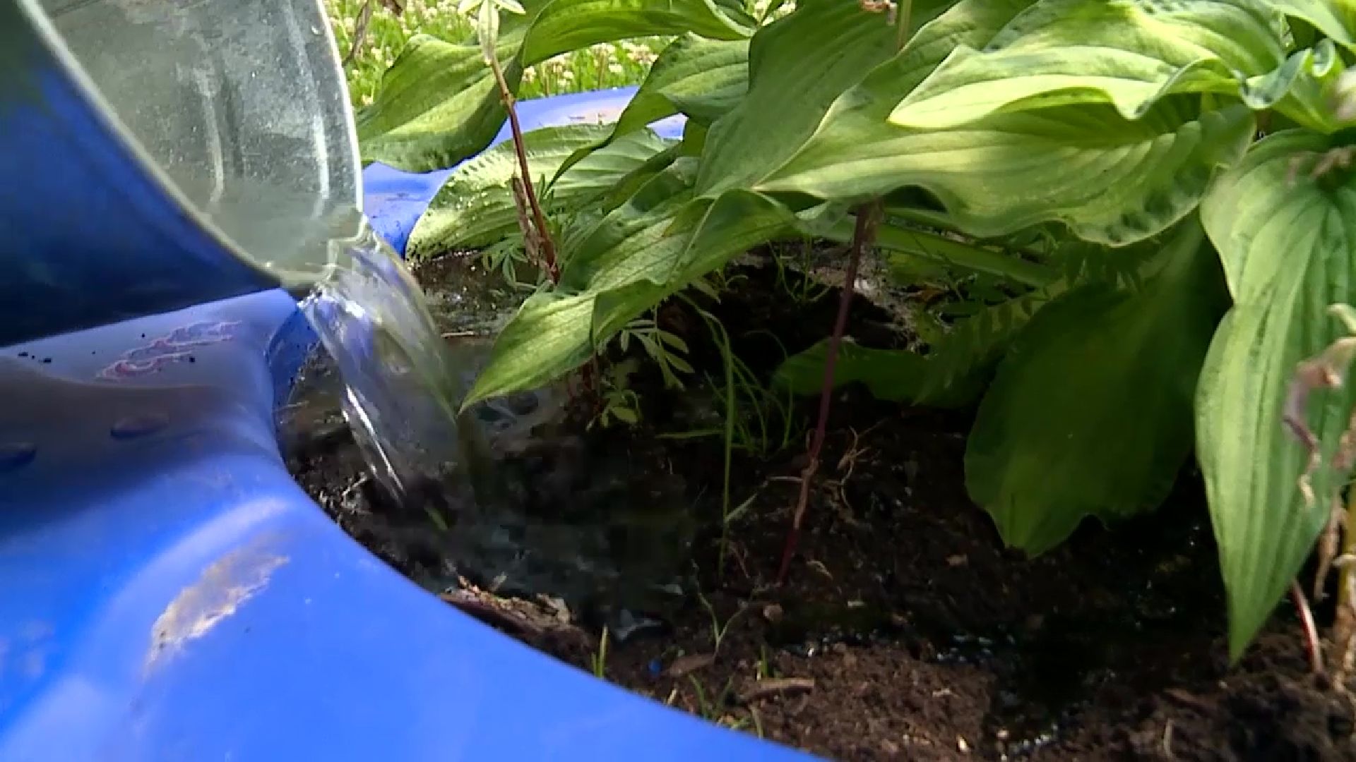 Реутов, трудовое лето, школьники, трудоустройство, Центр занятости населения