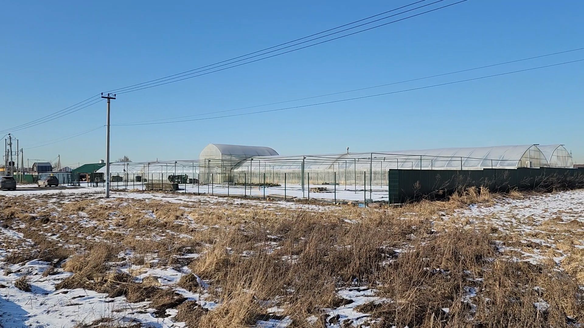 Чехов, деревня Хлевино, тепличный комплекс, садовый центр, конвейер, сортировка тюльпанов, приемка тюльпанов, обвязка, вязальные аппараты, оборудование,