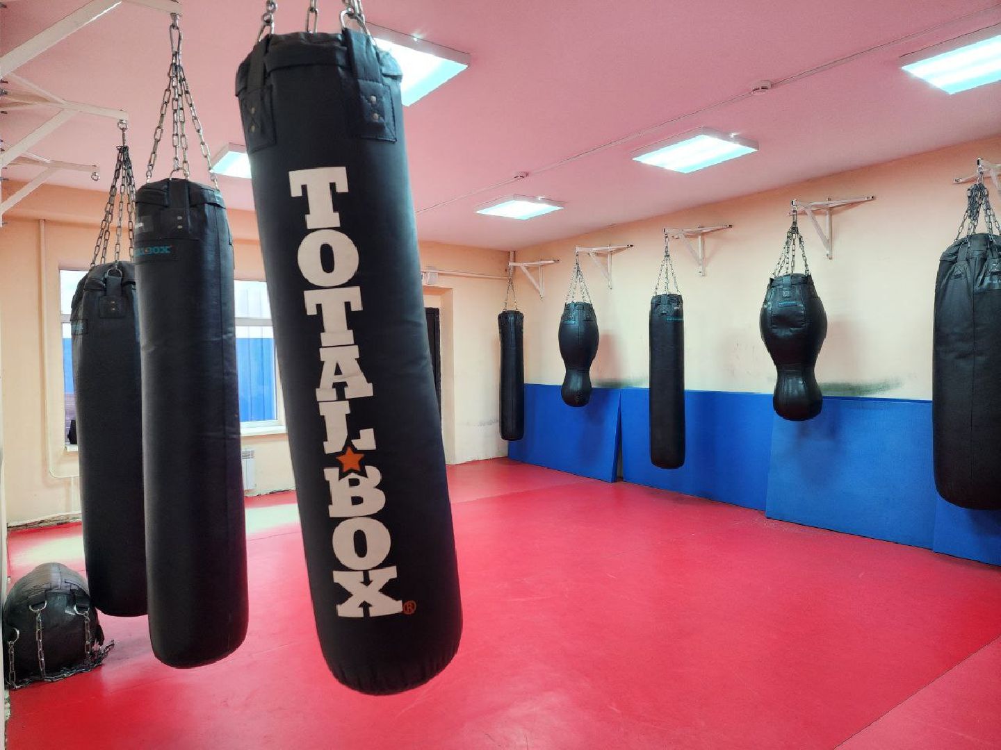 Луховицы, боксер,