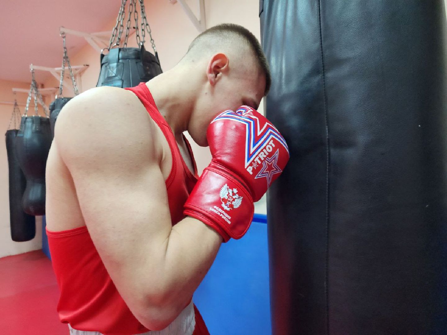 Луховицы, боксер,