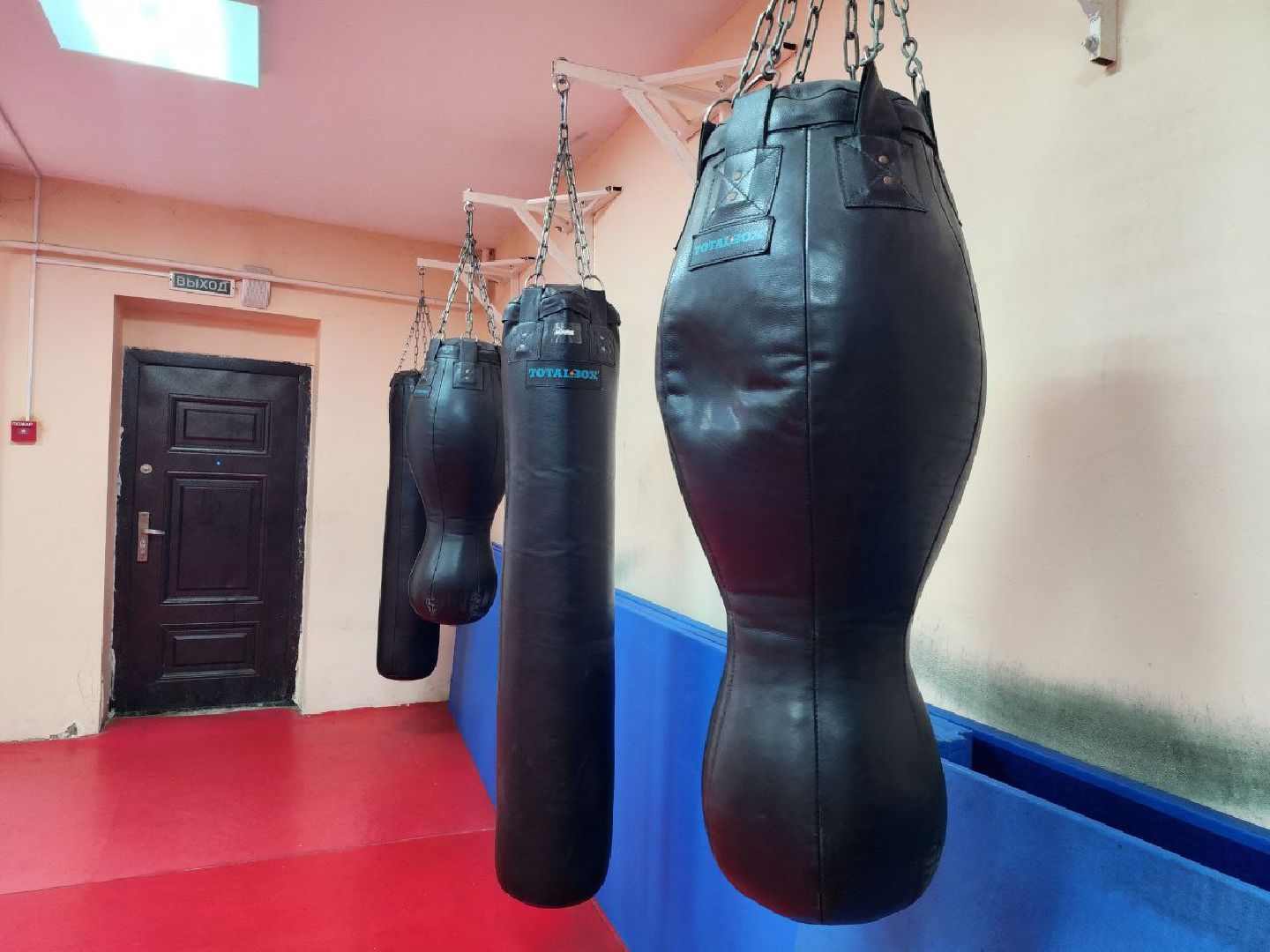 Луховицы, боксер,