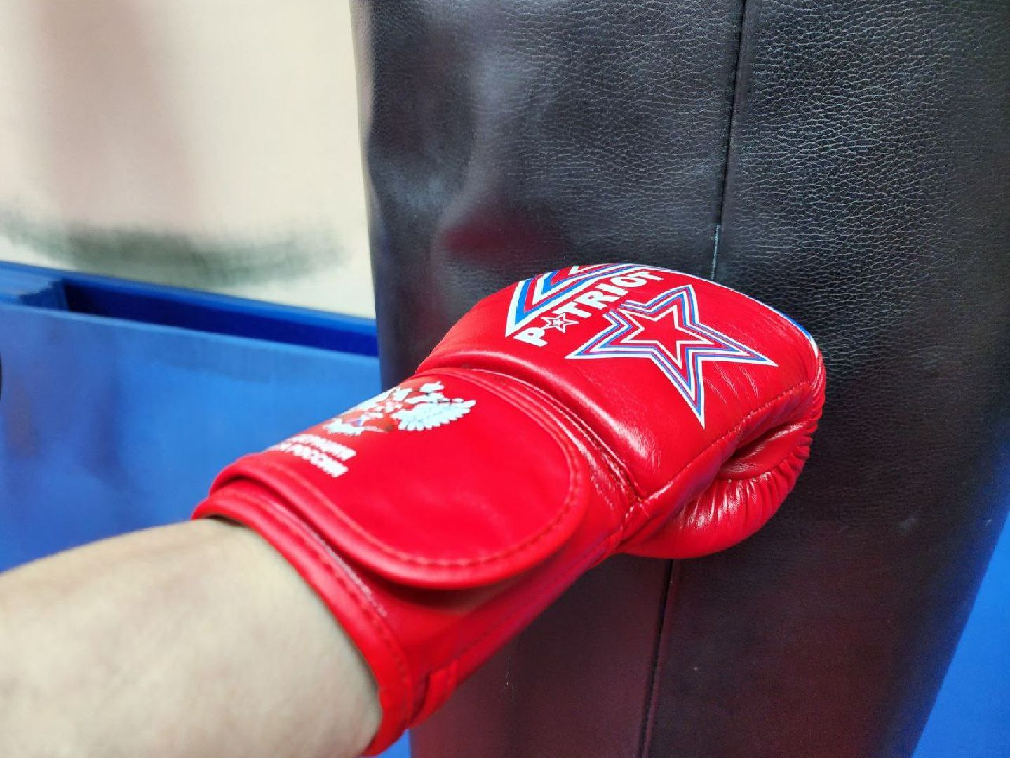 Луховицы, боксер,