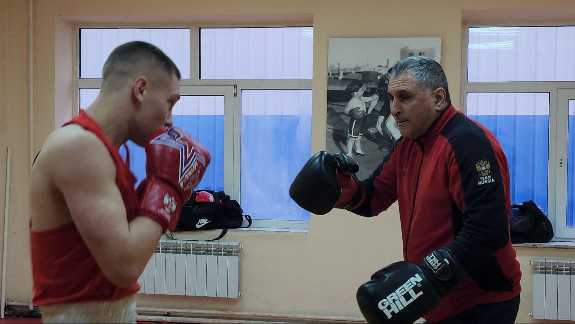 Луховицы, боксер,