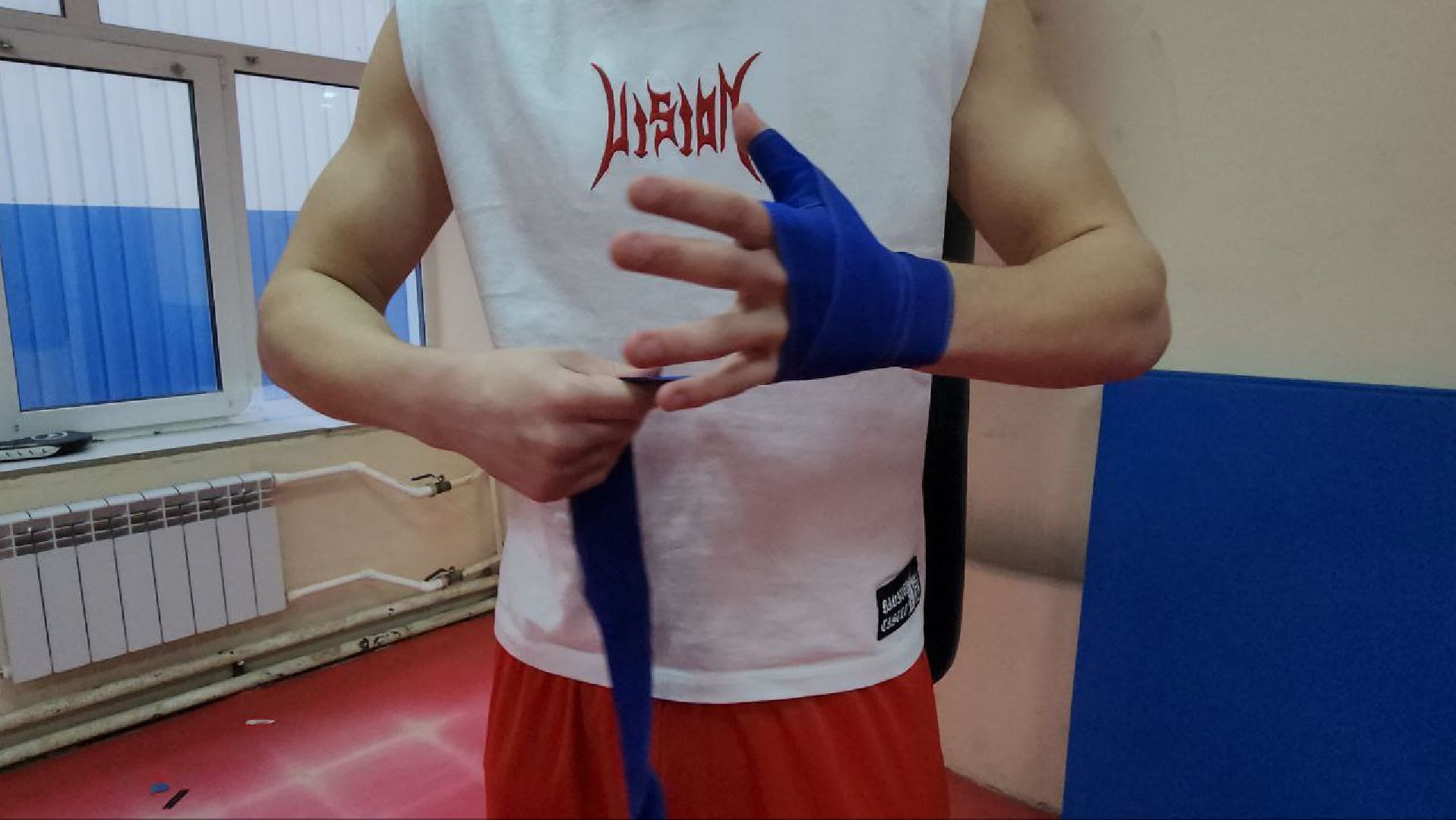 Луховицы, боксер,